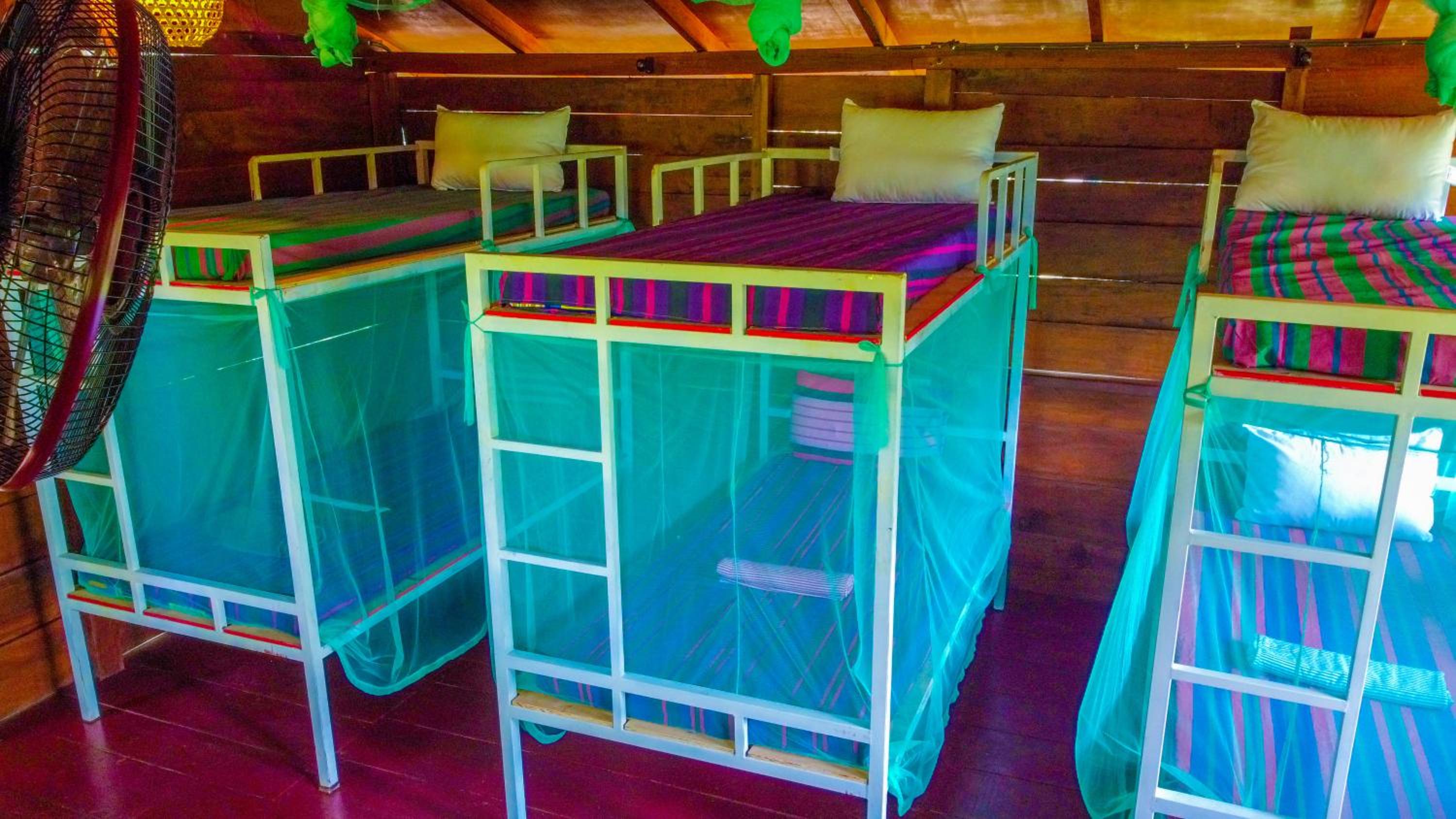 6-Bed Mixed Dormitory Room