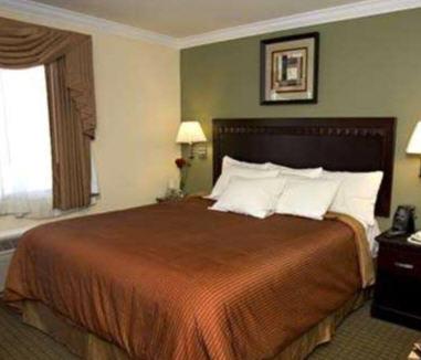 King Suite photo 1