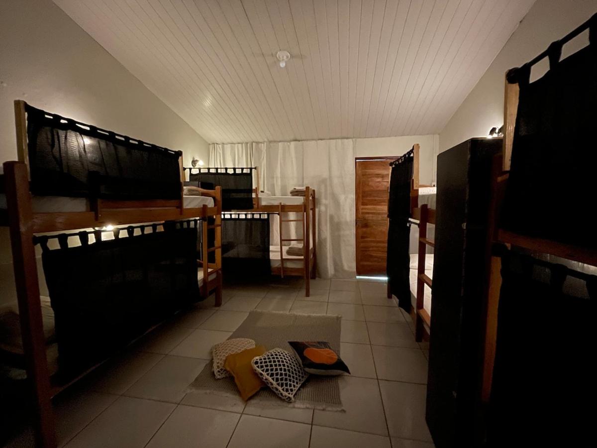 Bunk Bed in Mixed Dormitory Room photo 1