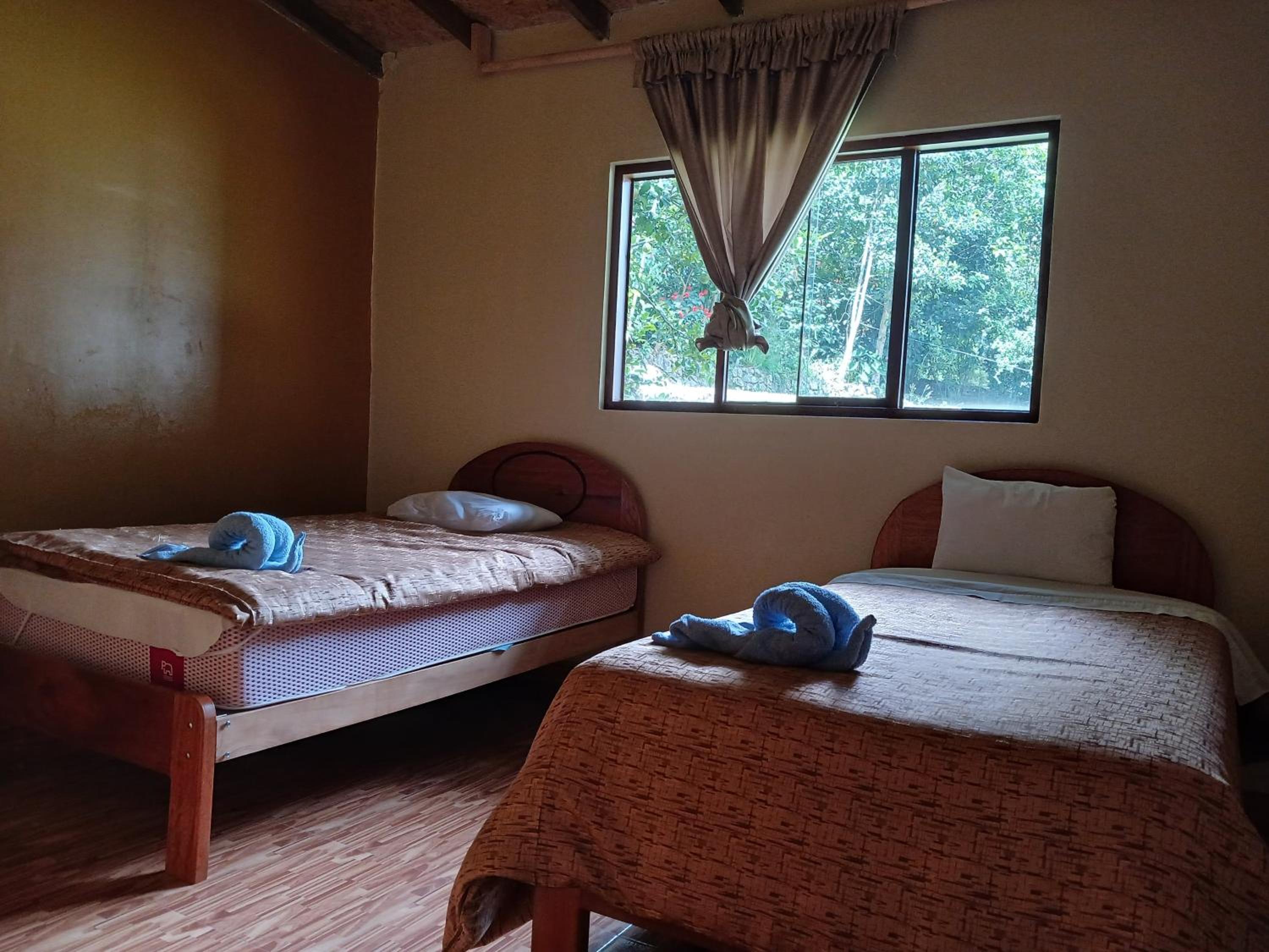 Twin Room photo 1