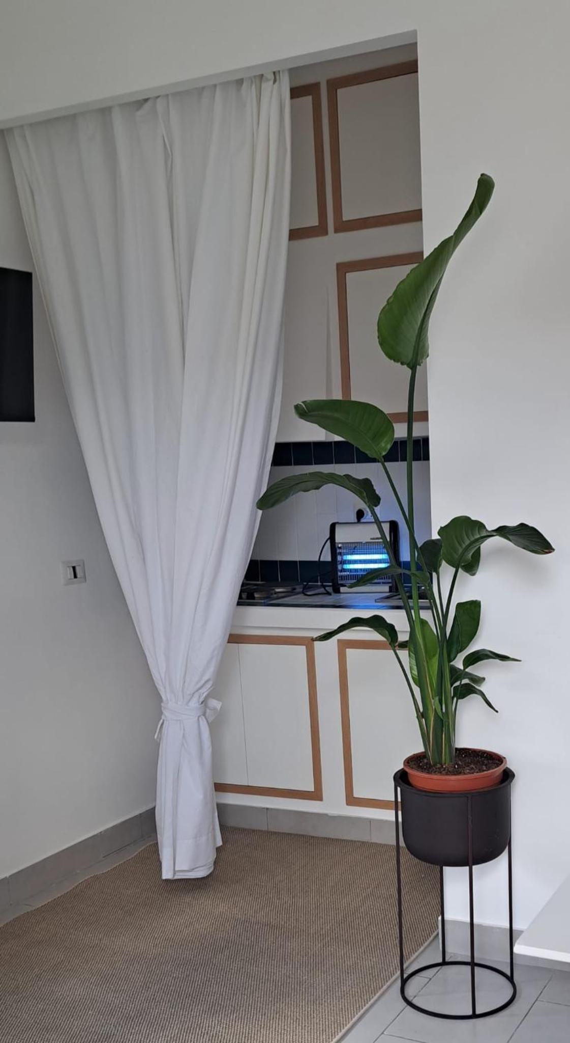 Suite with Terrace photo 1
