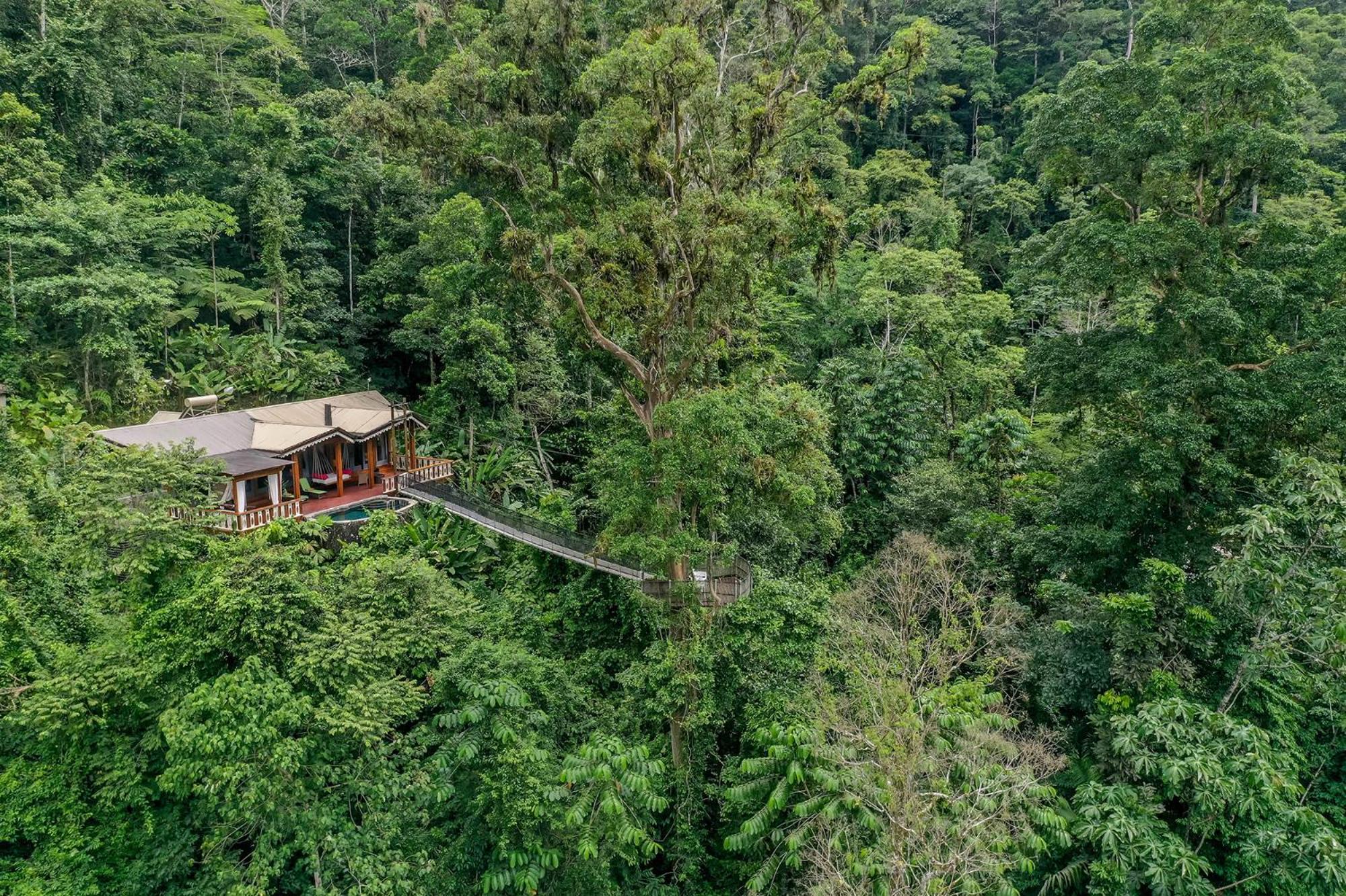 Canopy Villa photo 3