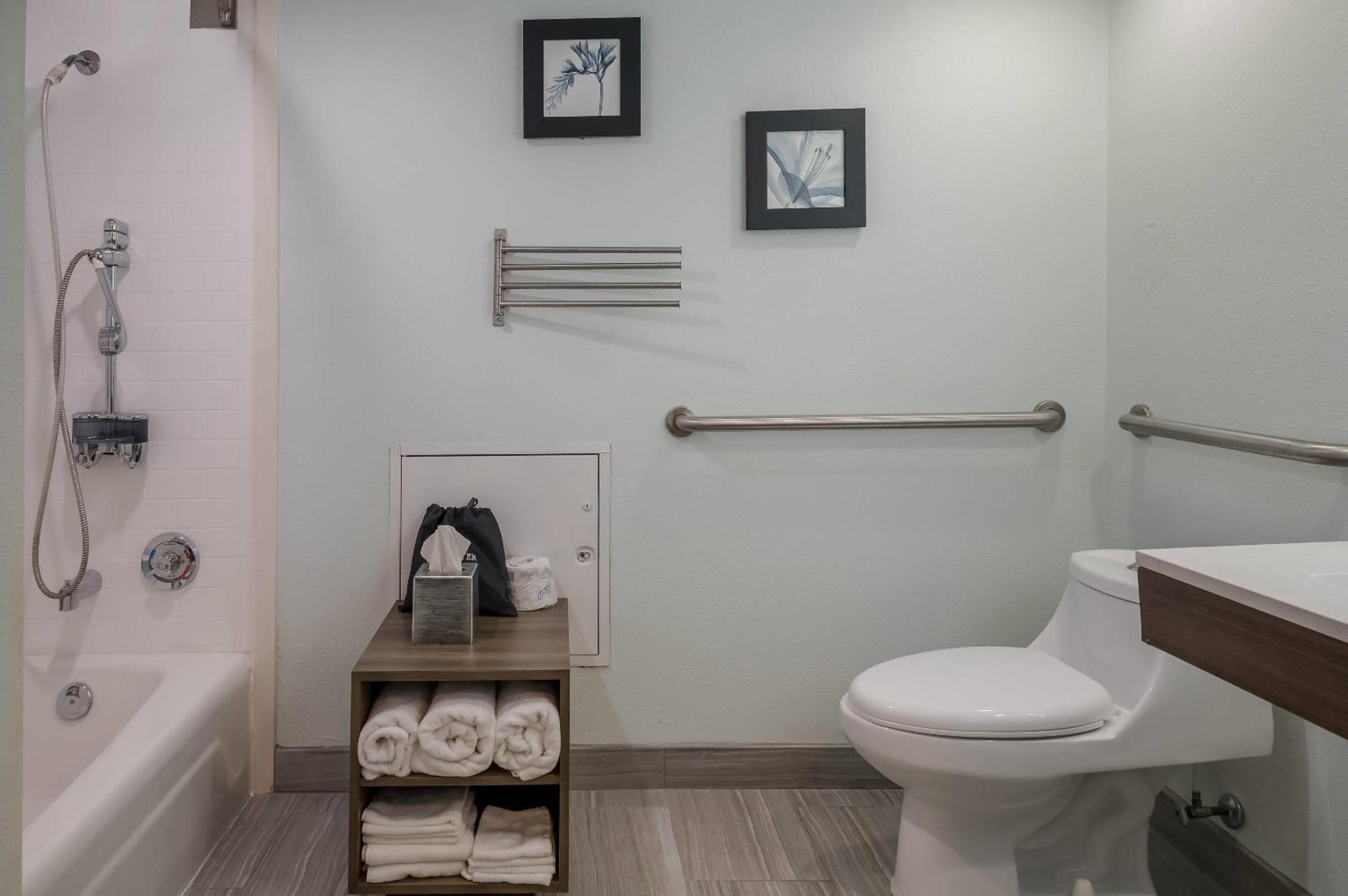 1 Queen Bed, Nonsmoking, Accessible, Roll In Shower - Photo 4