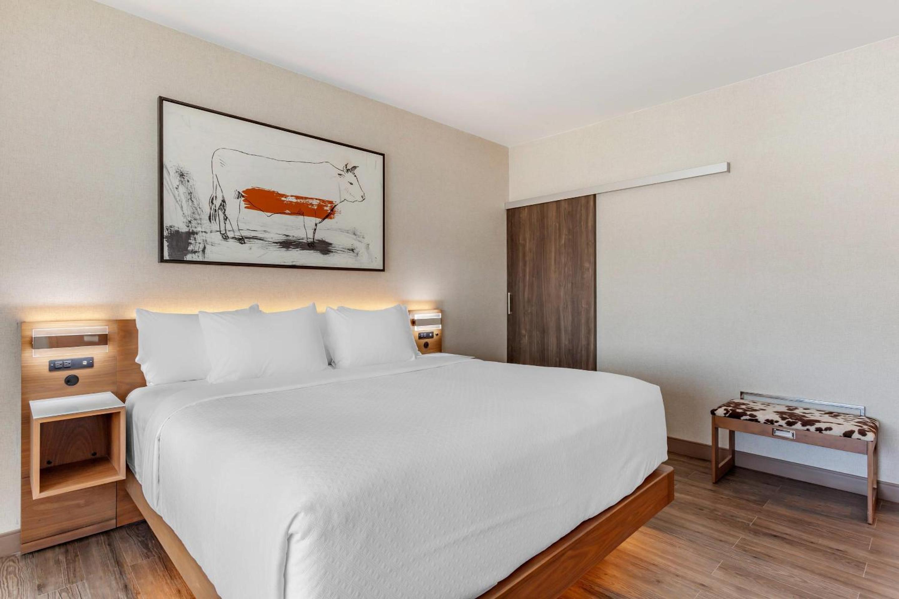 King Suite with Sofa - Non Smoking - Photo 10