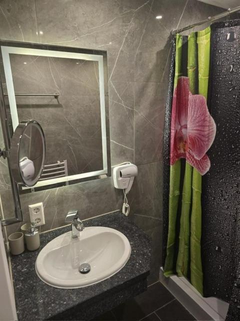 Deluxe Double or Twin Room photo 2