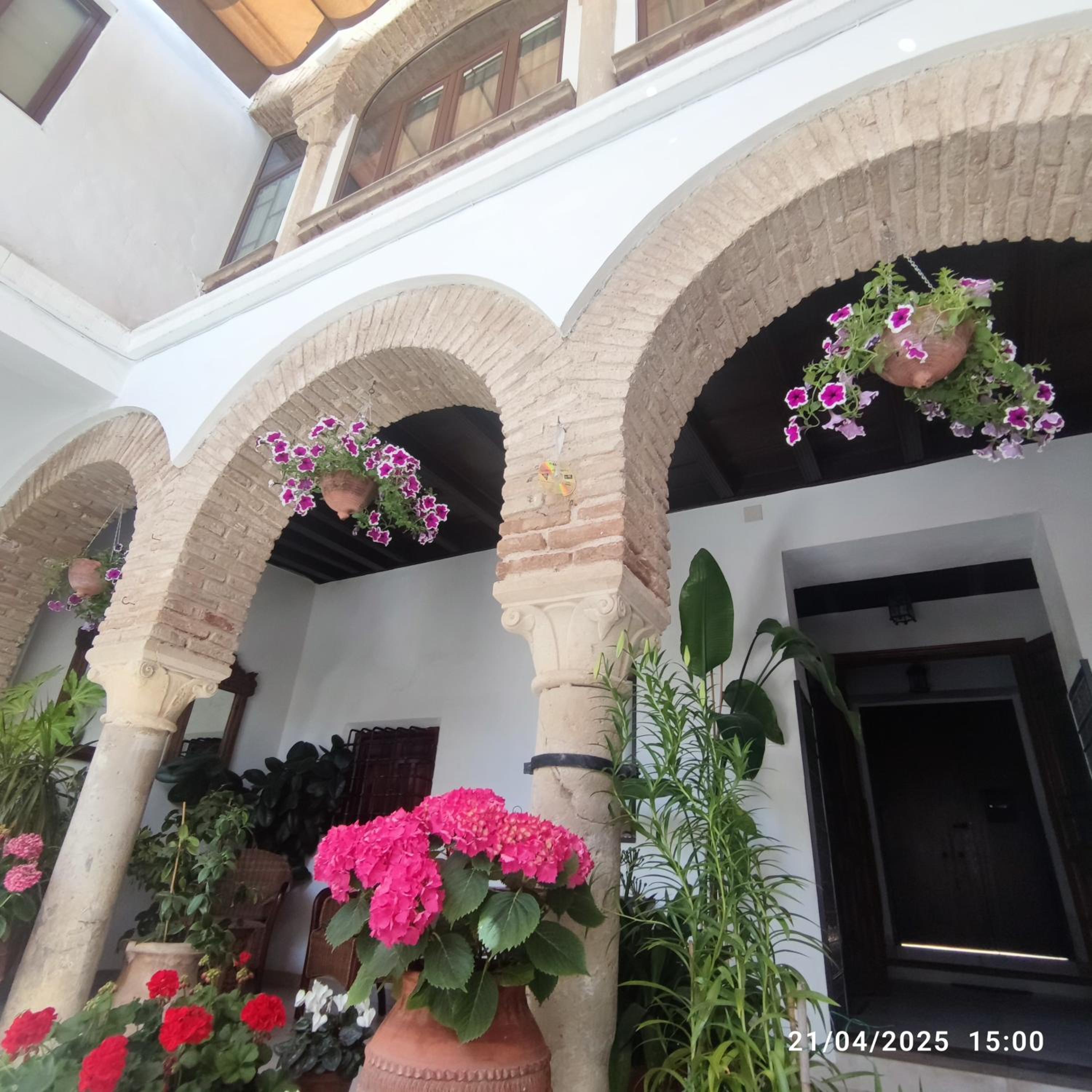Deluxe One-Bedroom Apartment with Garden View