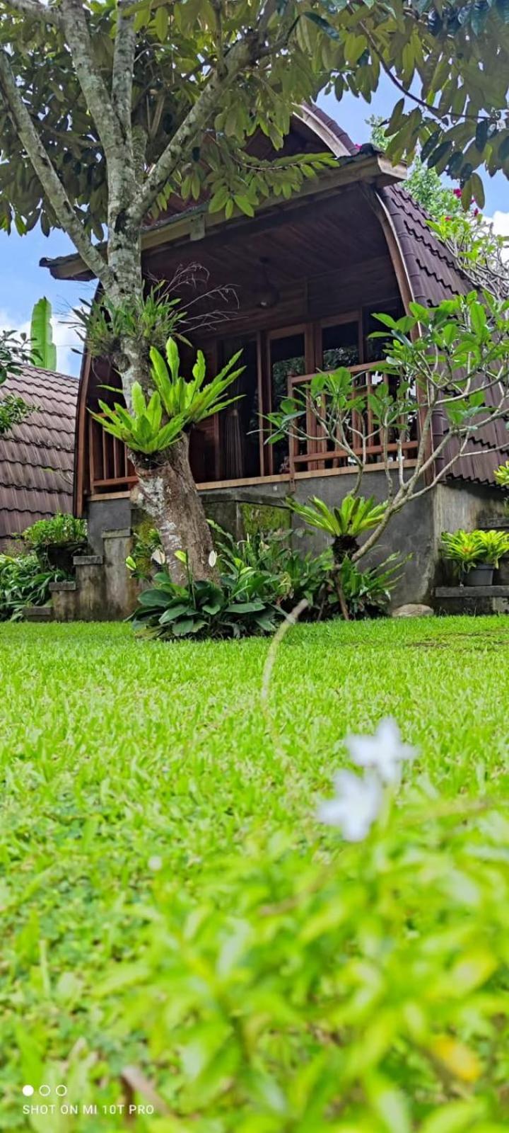 Double or Twin Room with Mountain View photo 1