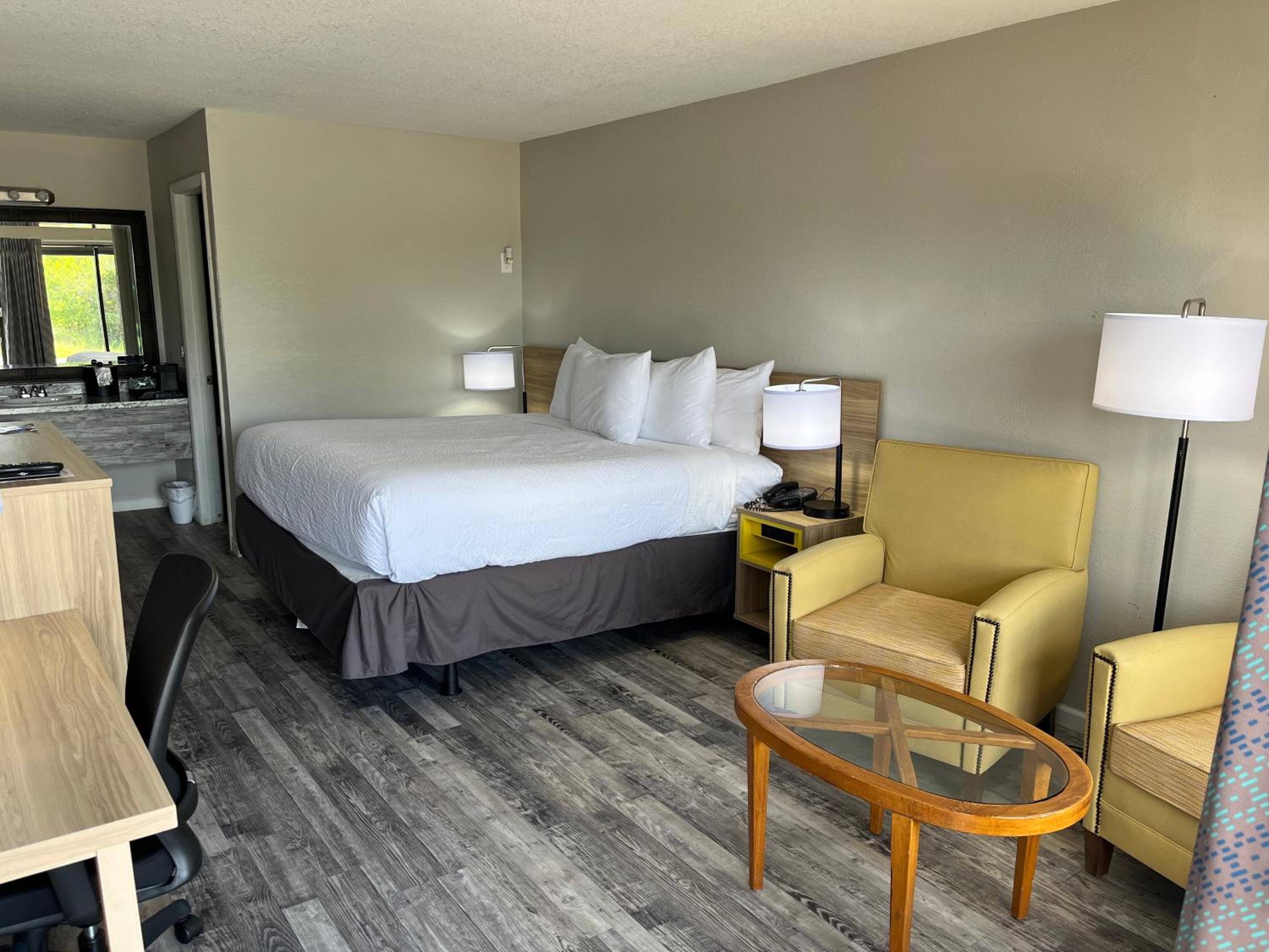 King Room - Pet Friendly/Non-Smoking - Photo 7