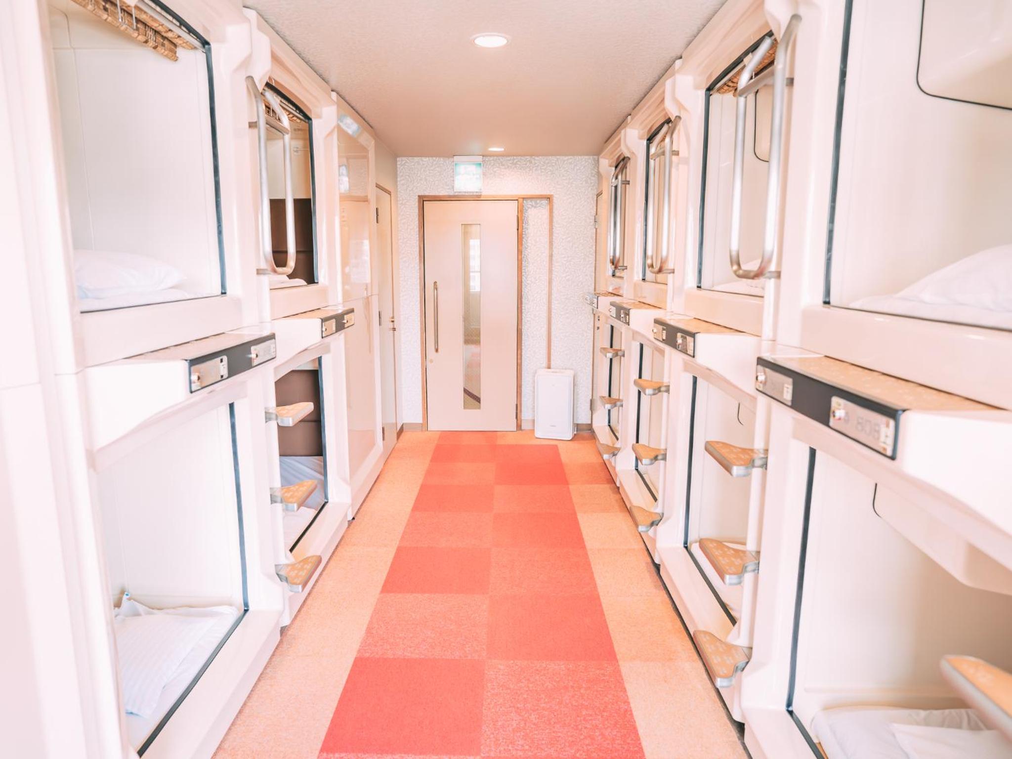 Single Bed in Male Dormitory Room