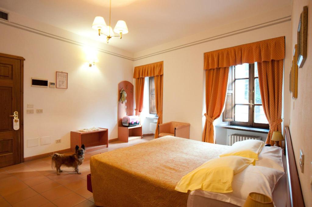 Double or Twin Room (Pets Allowed) photo 3