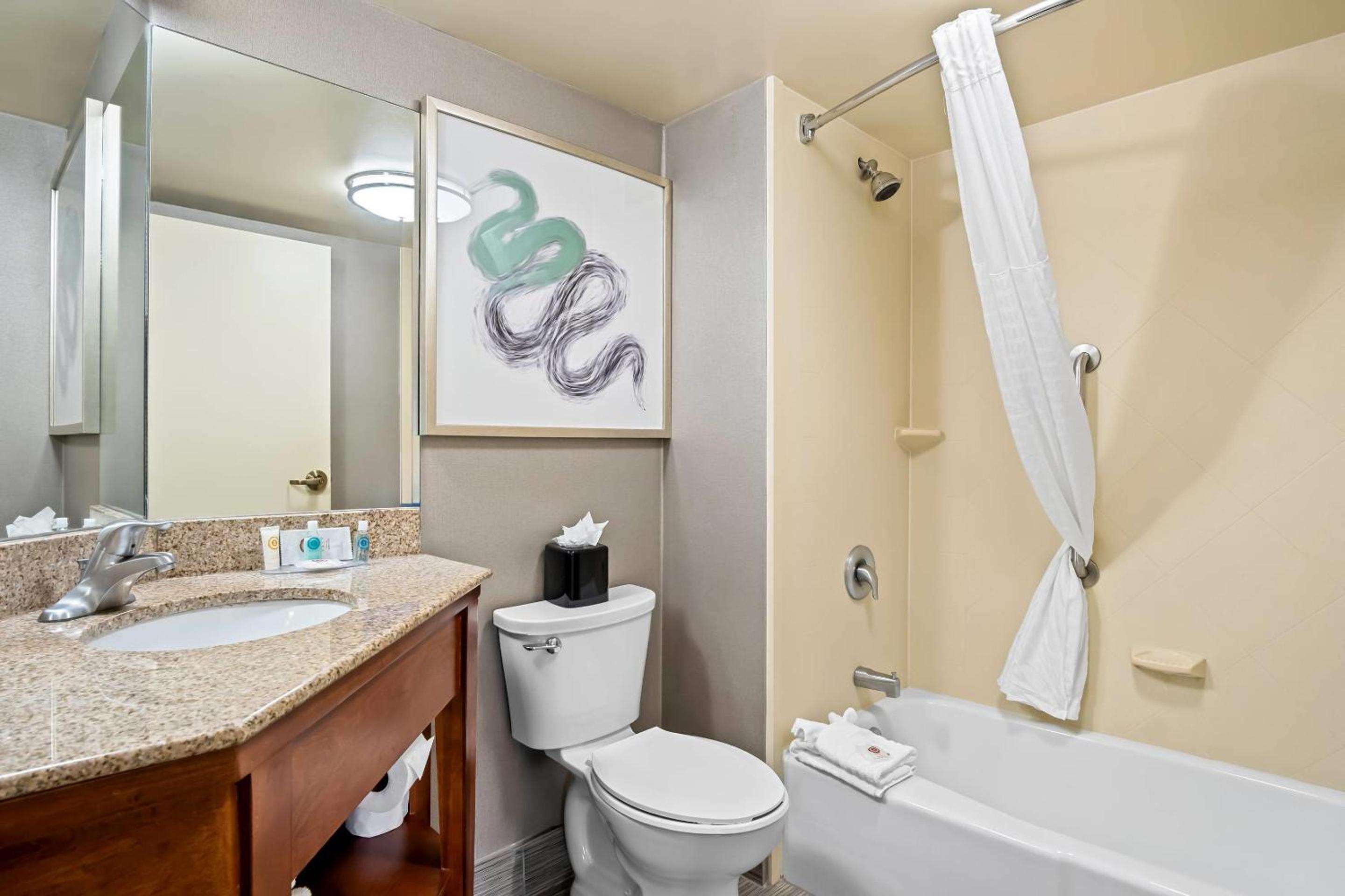 Large King Suite with Sofa bed - Non Smoking - Photo 2
