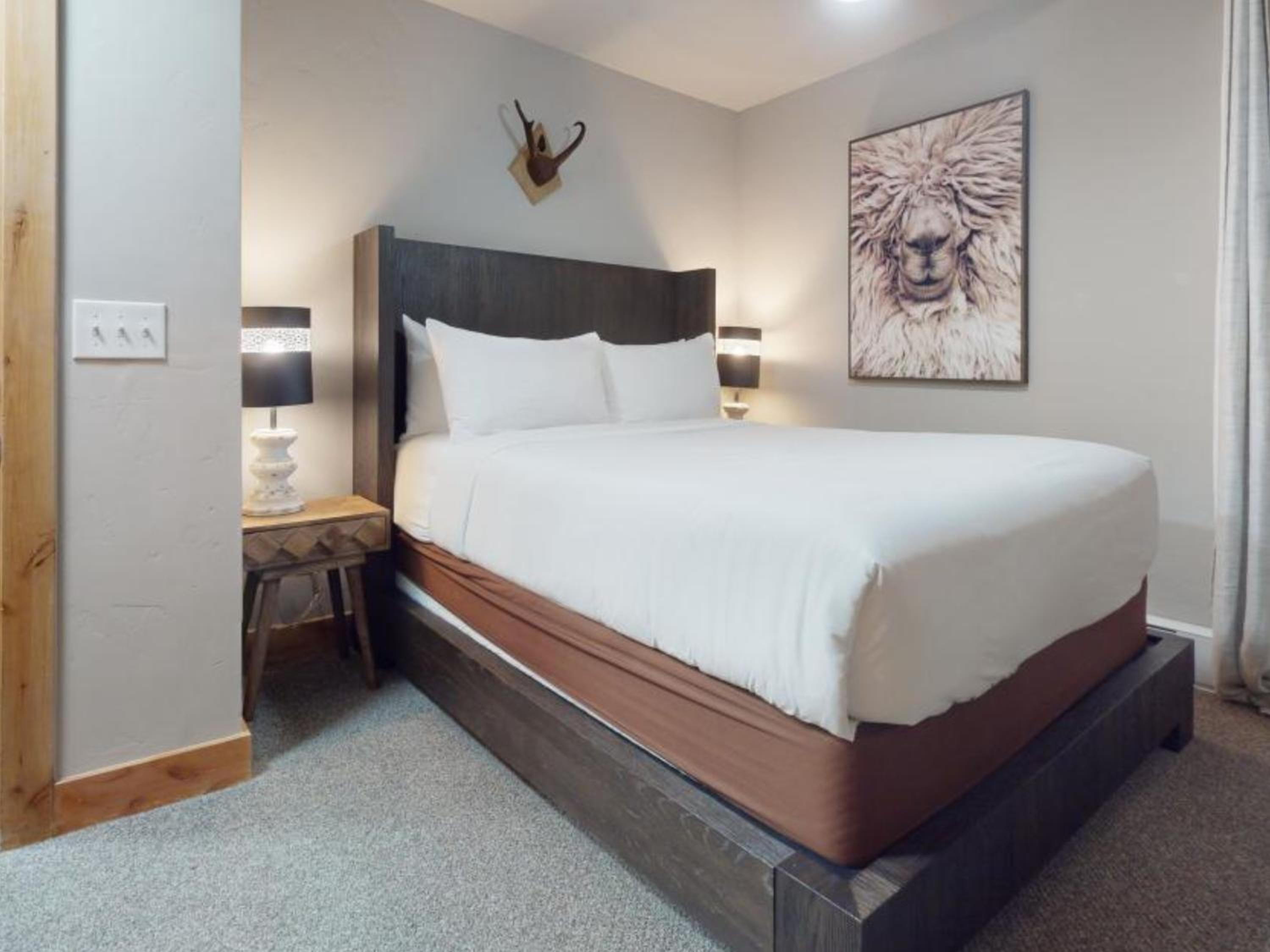 One-Bedroom Premier Apartment