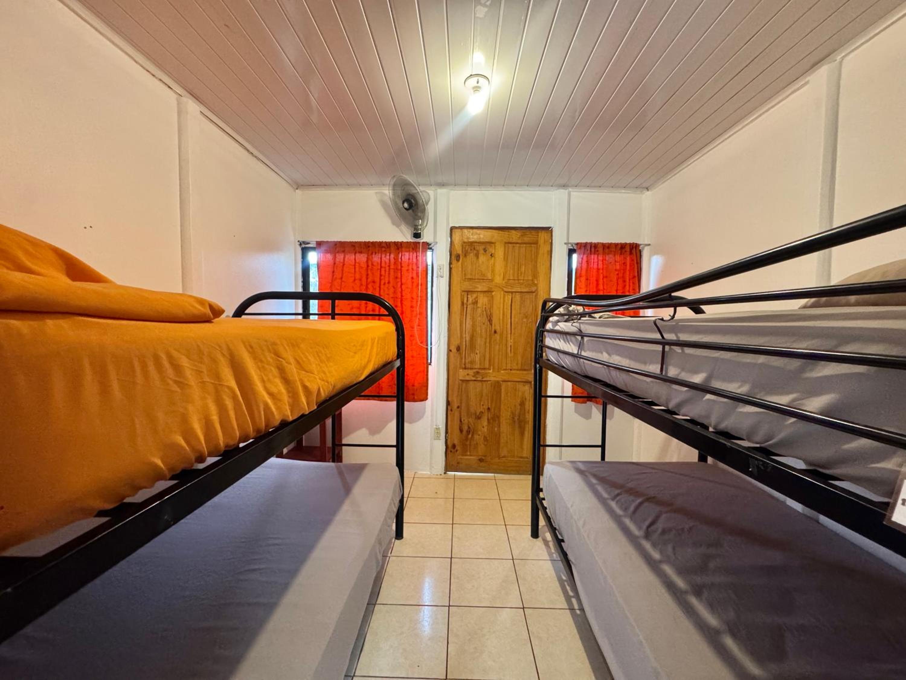 Bed in 4-Bed Female Dormitory Room