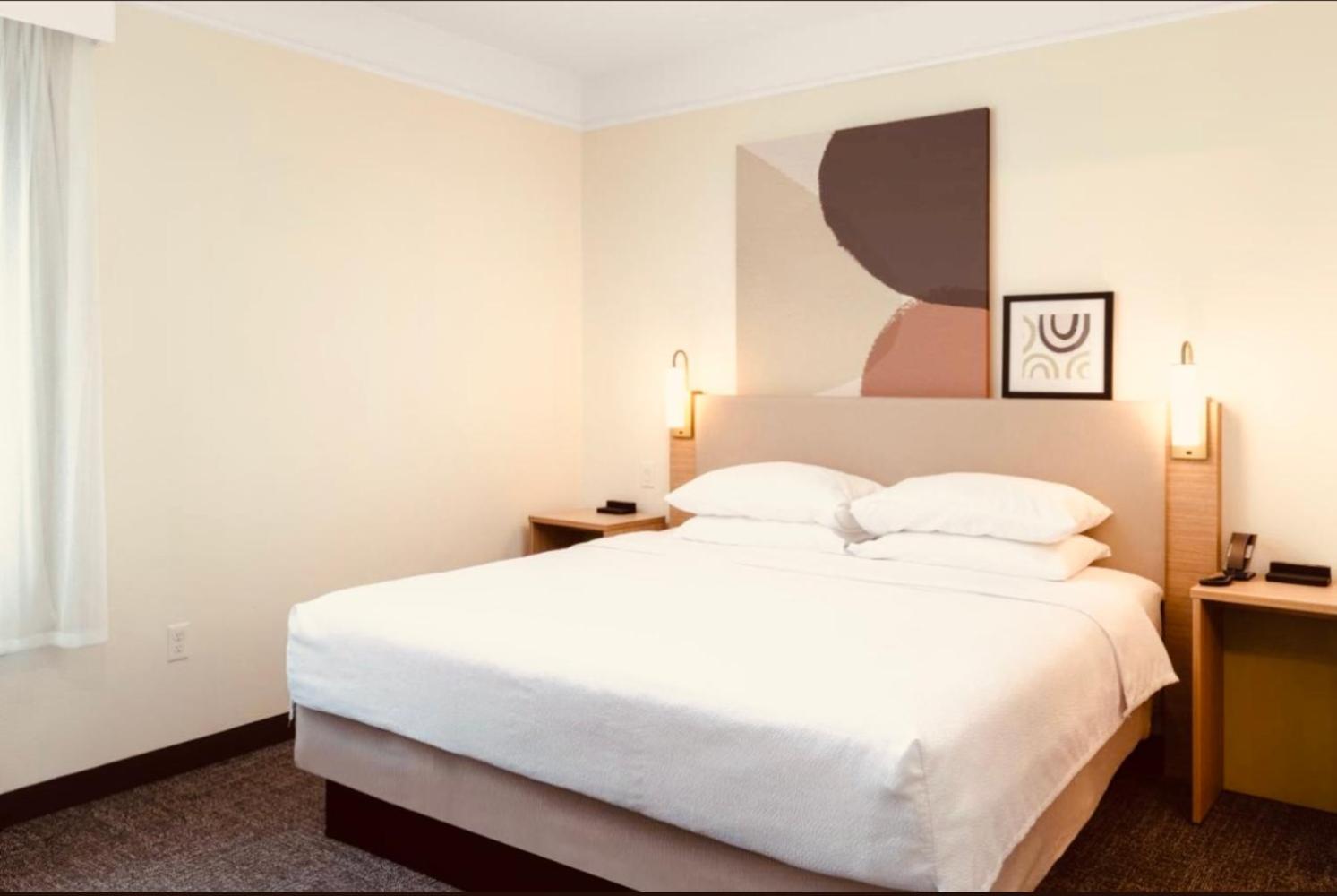 Studio Efficiency Suite with Queen Bed - Non-Smoking photo 3