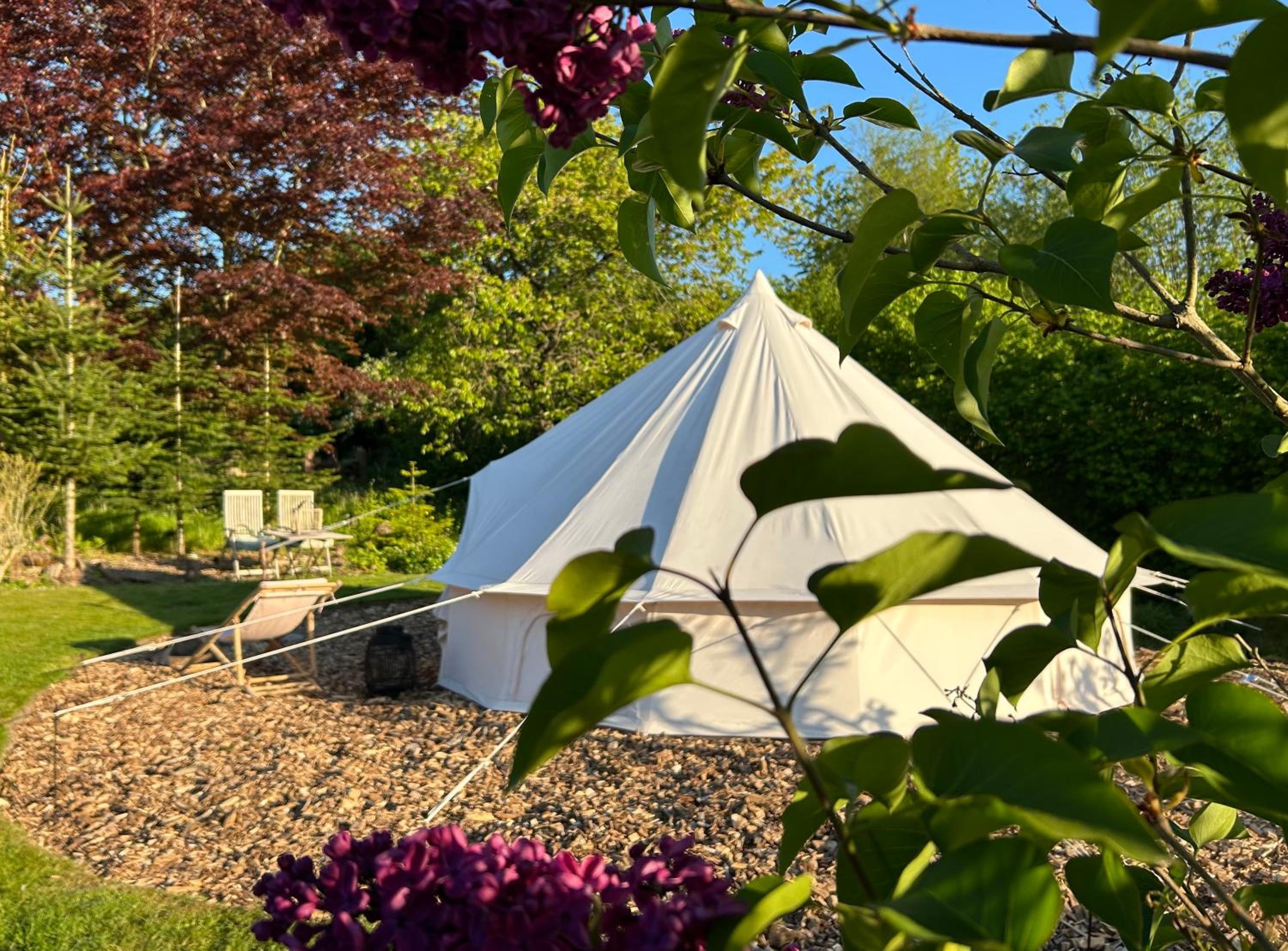 Tent photo 3