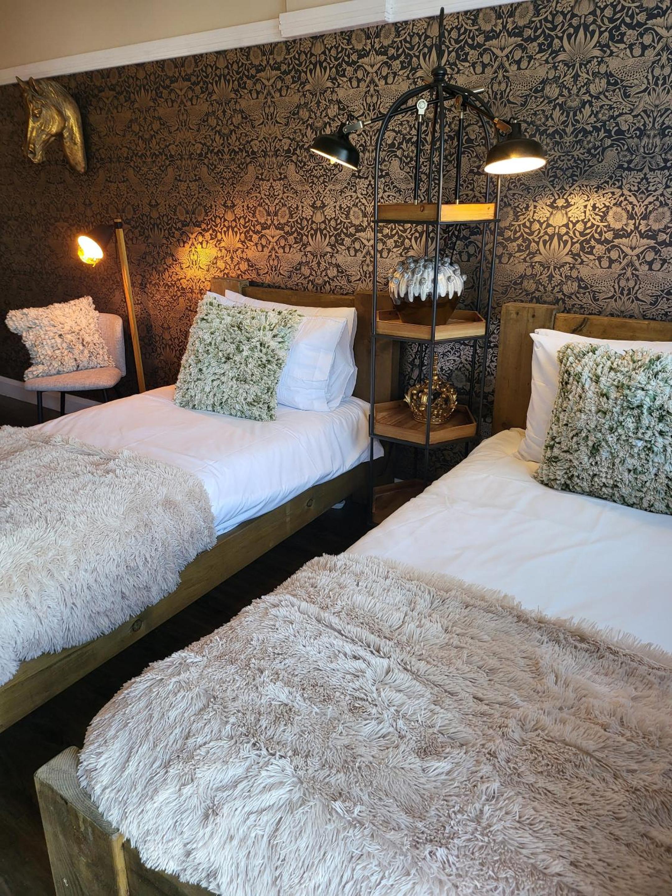 Deluxe Twin Room photo 1