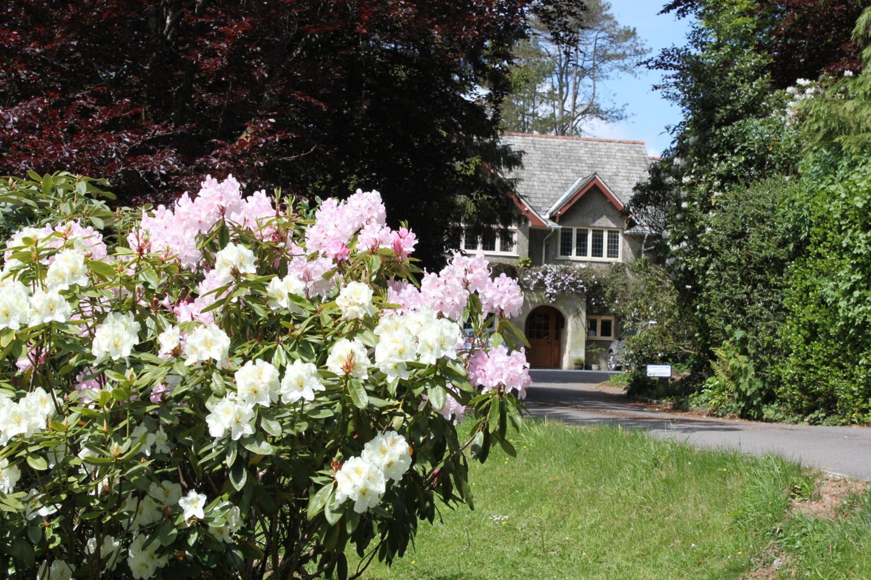 Stapledon Lodge photo 2
