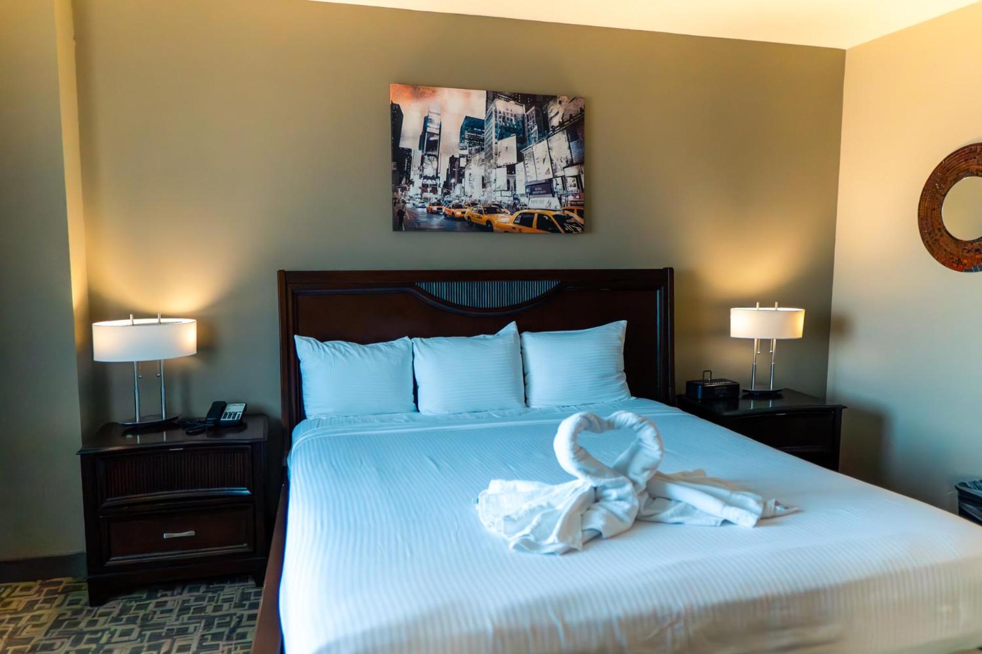 Mini Suite - Photo 4