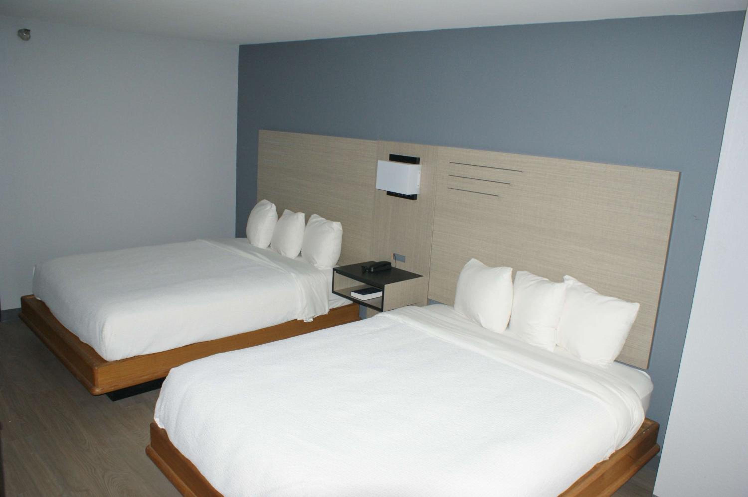2 Queen Beds Pet Friendly photo 2