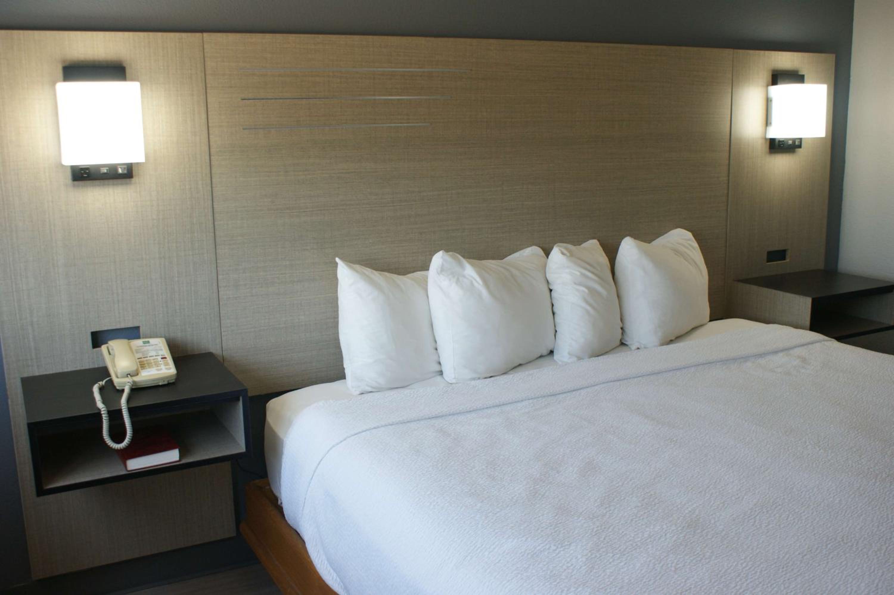 1 King Bed Pet Friendly photo 2