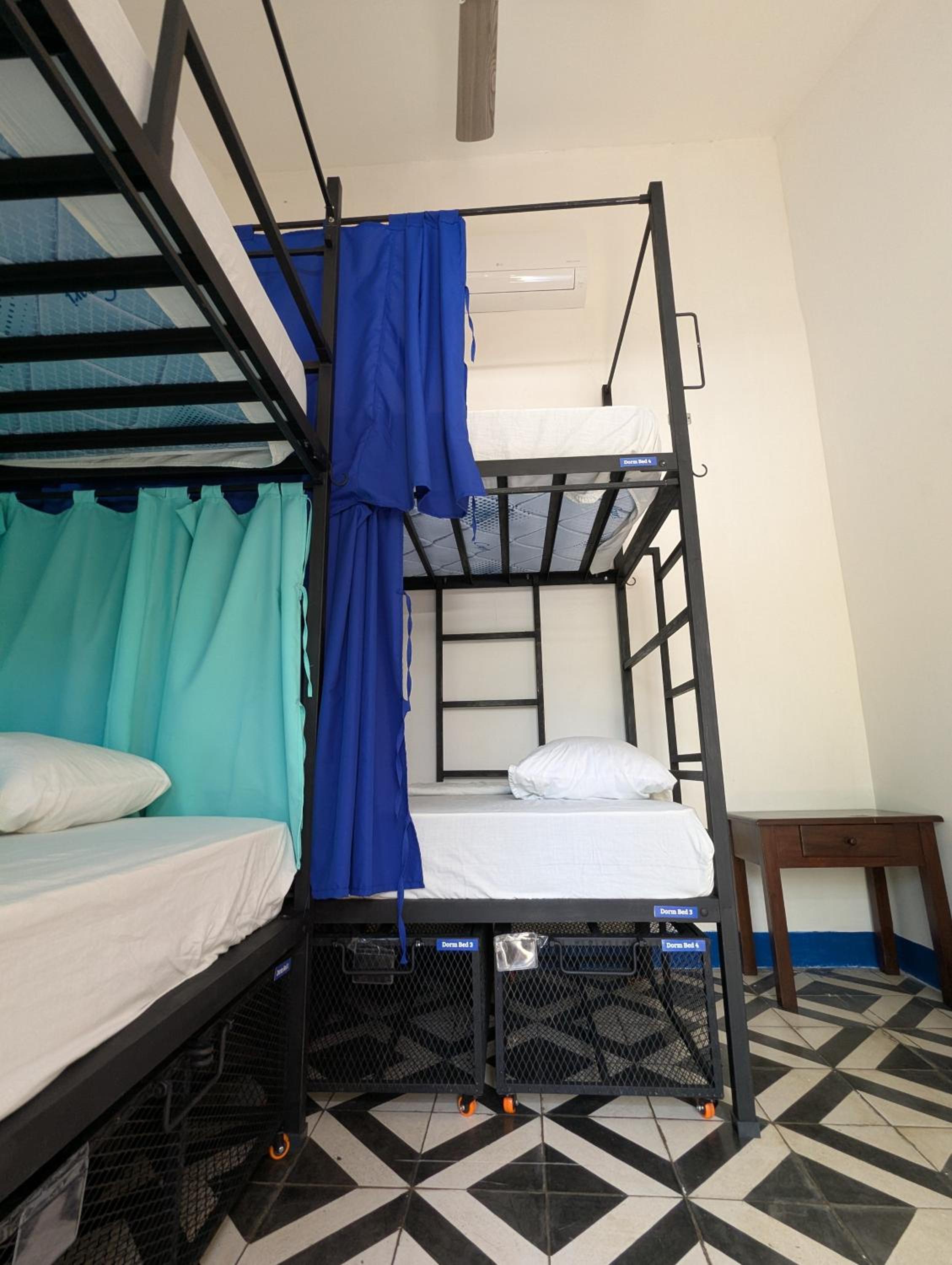 Bed in 4-Bed Female Dormitory Room photo 3