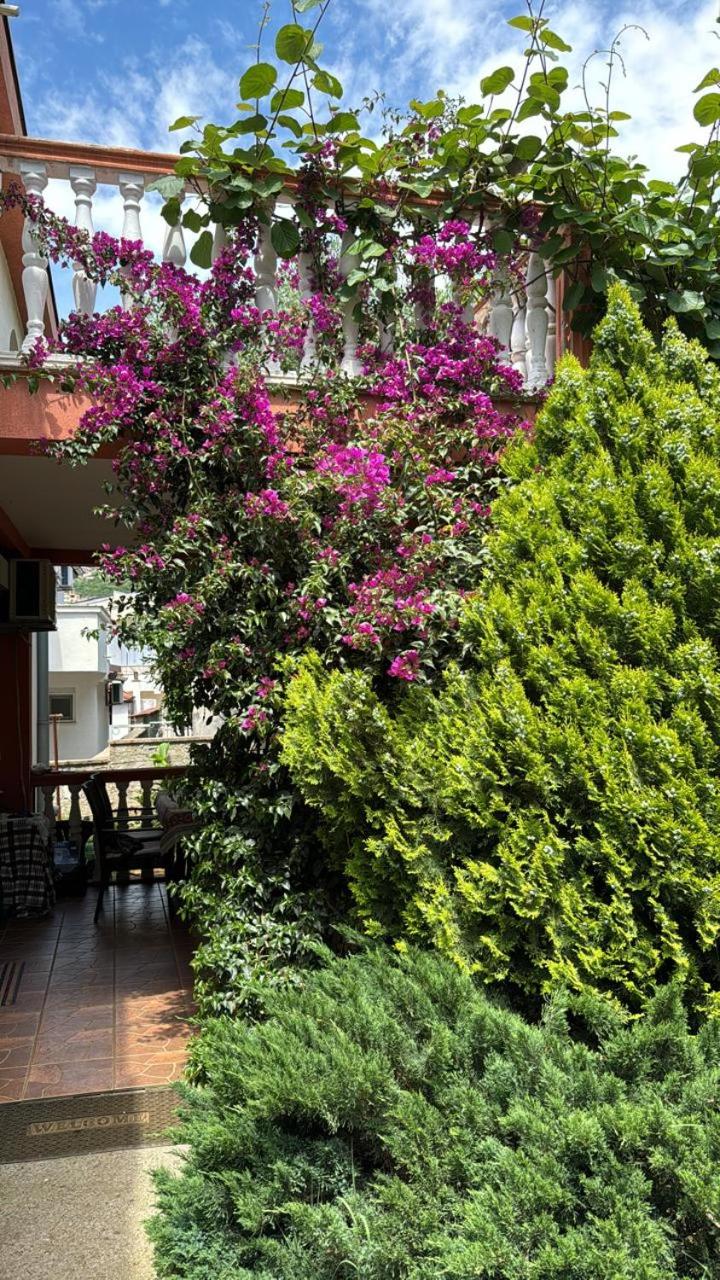 One-Bedroom Apartment with Garden View photo 1