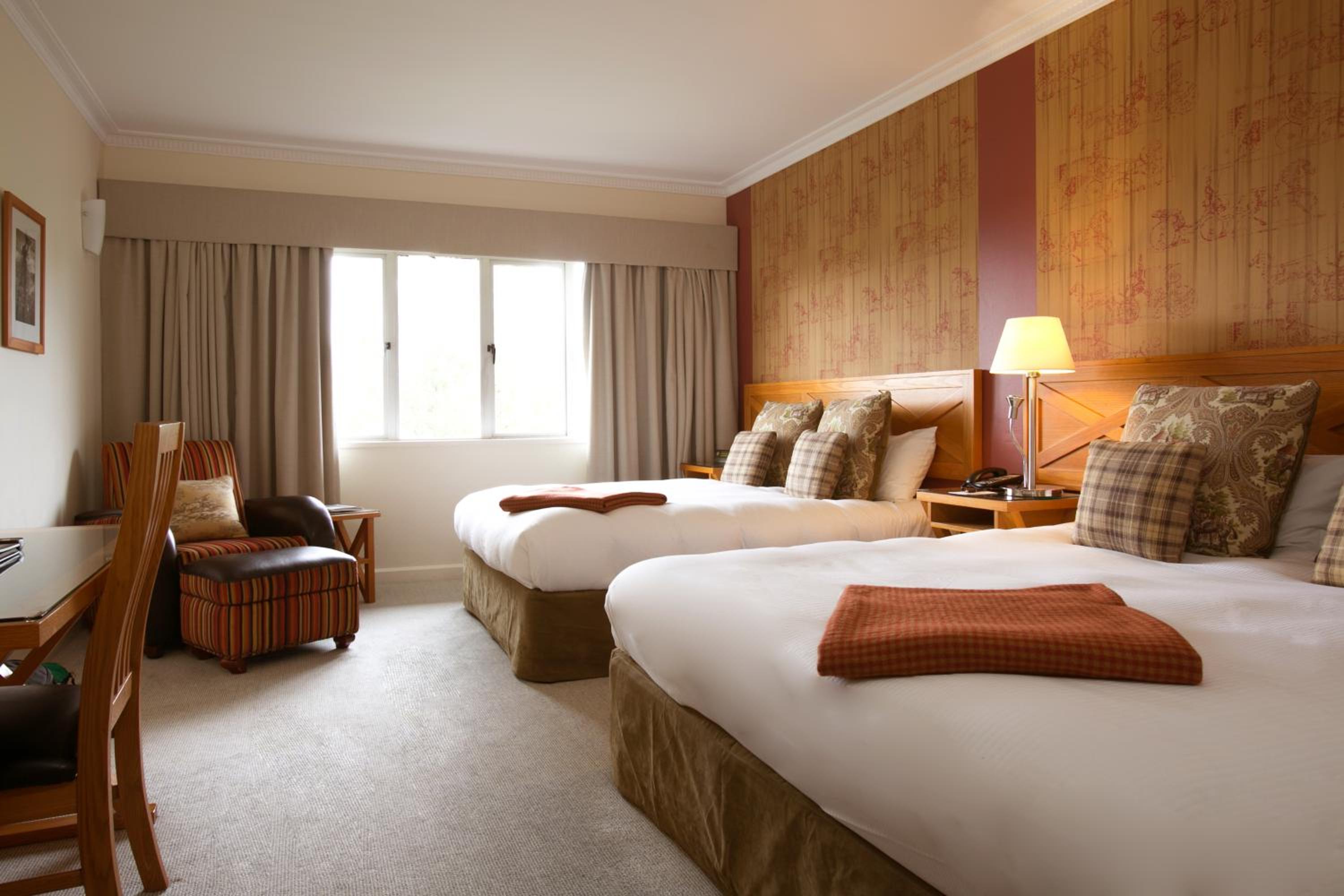 Standard Queen Room with Two Queen Beds - Photo 7