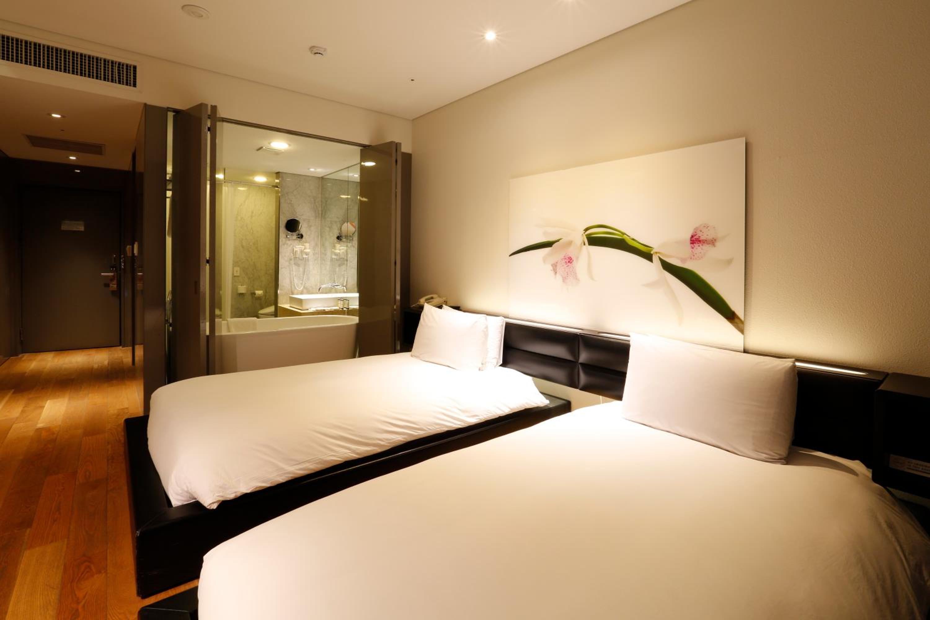 Deluxe Twin Room - Photo 4