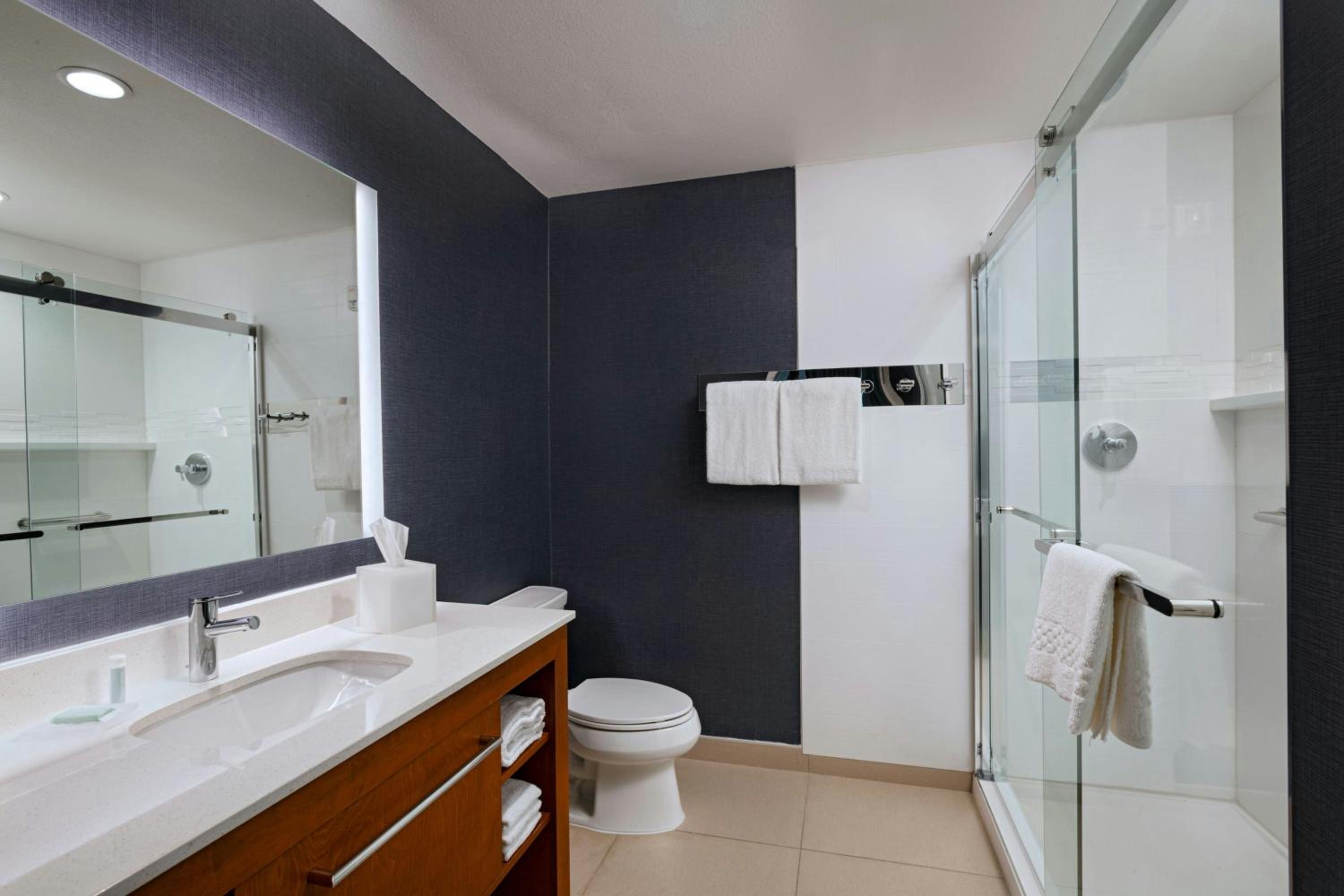 King Studio Suite photo 2
