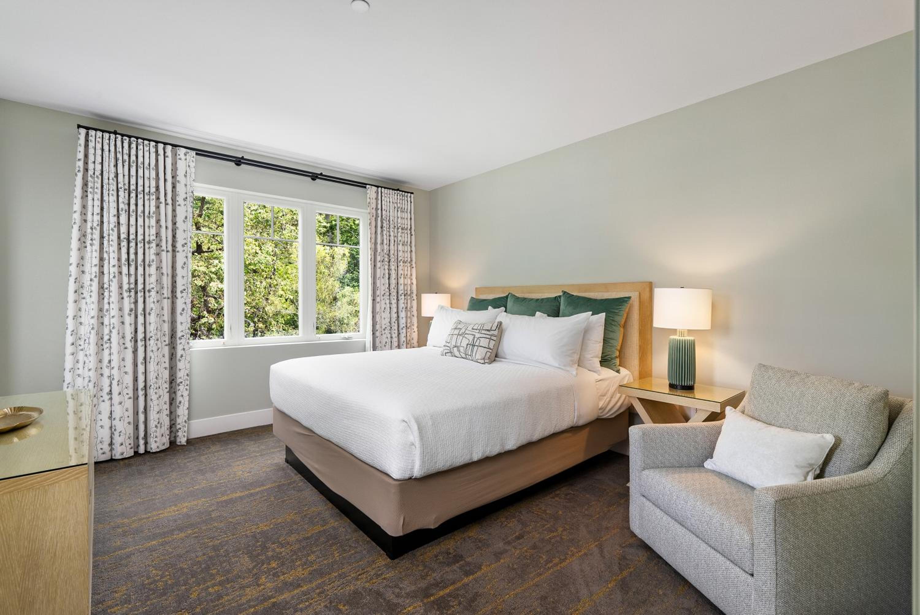 Forest King Suite with sofa sleeper photo 2