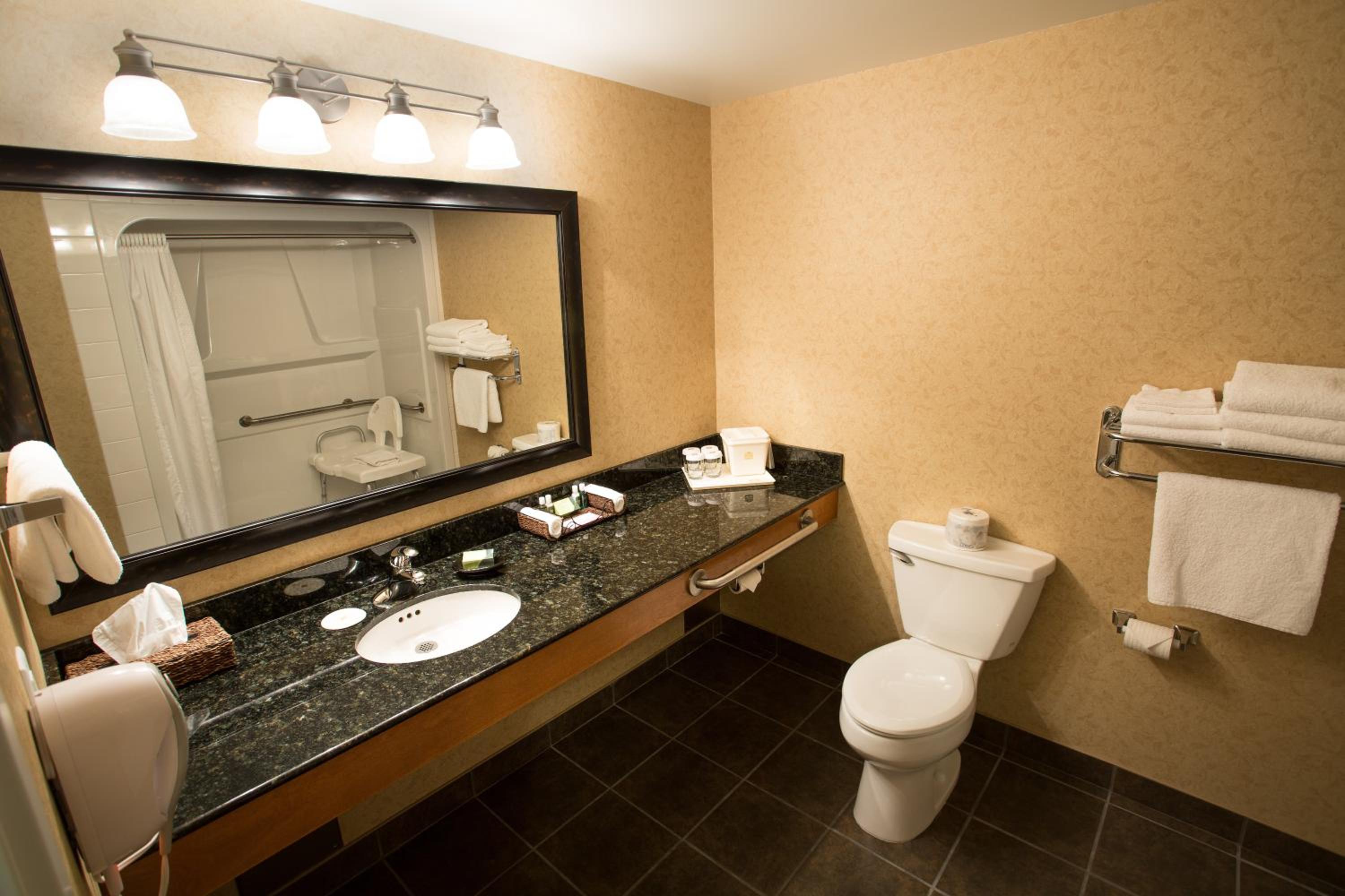 King Room with Mobility Accessible Roll-In Shower and Sofa Bed photo 2