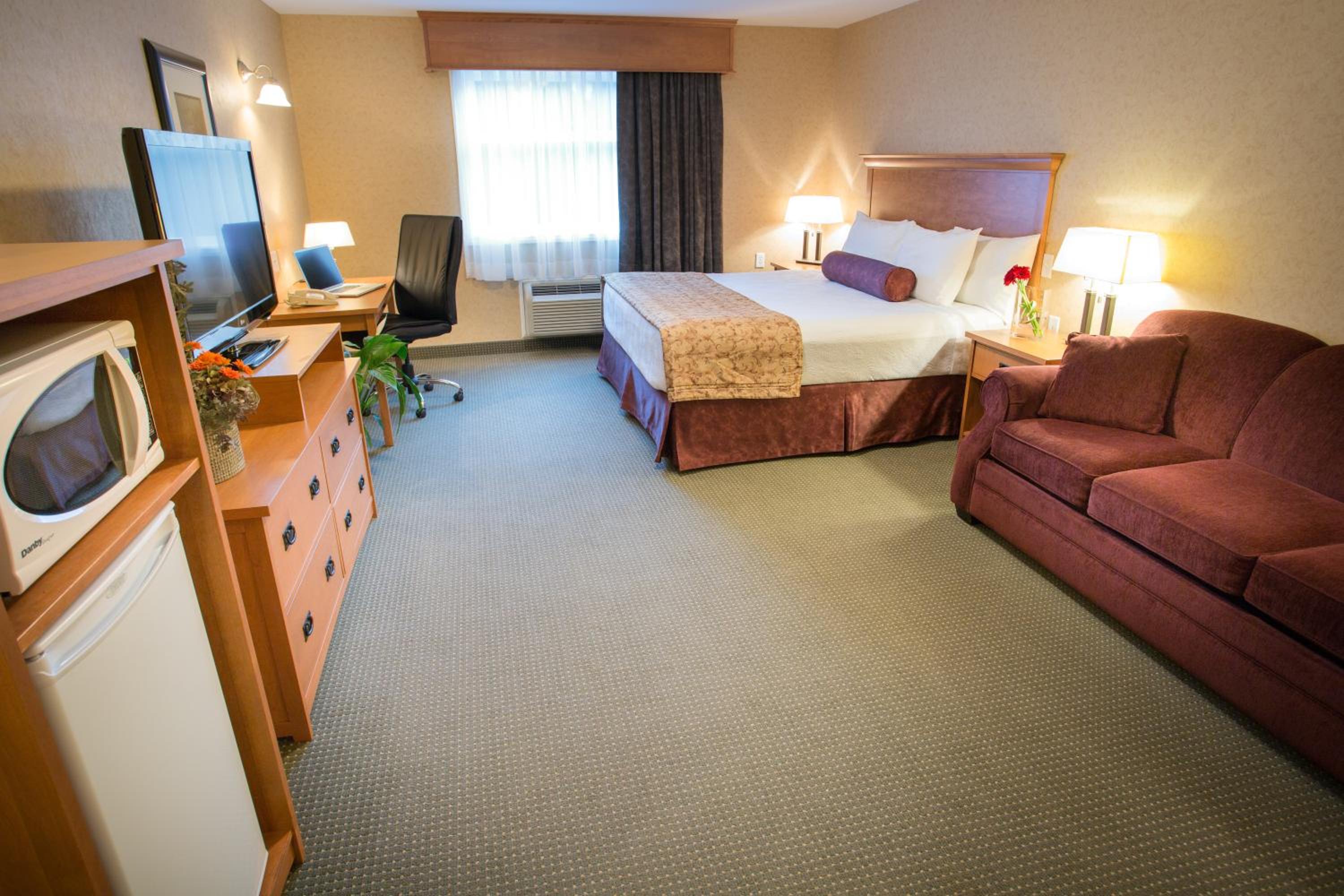 King Room with Mobility Accessible Roll-In Shower and Sofa Bed photo 3