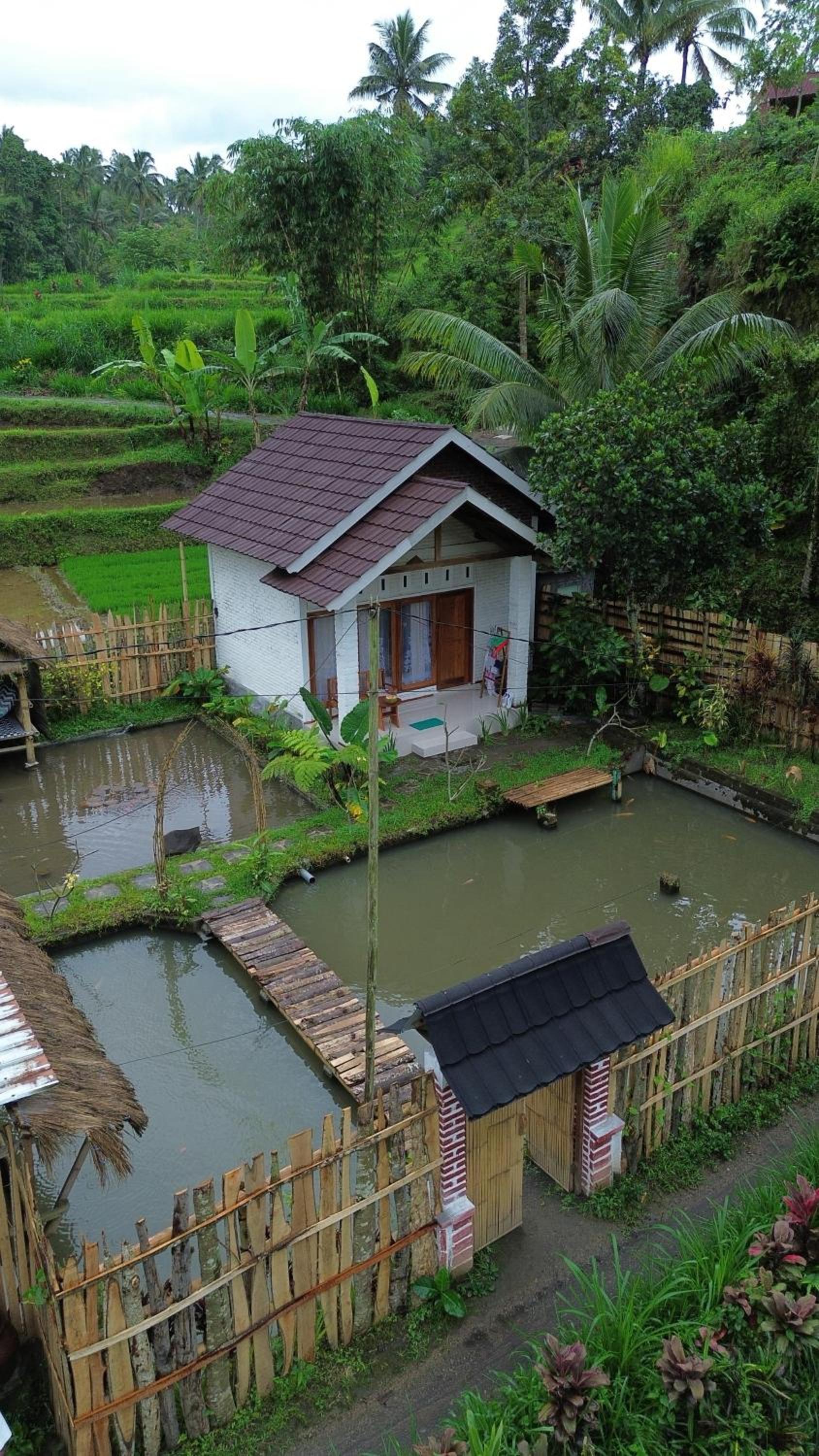 Double Room with Garden View