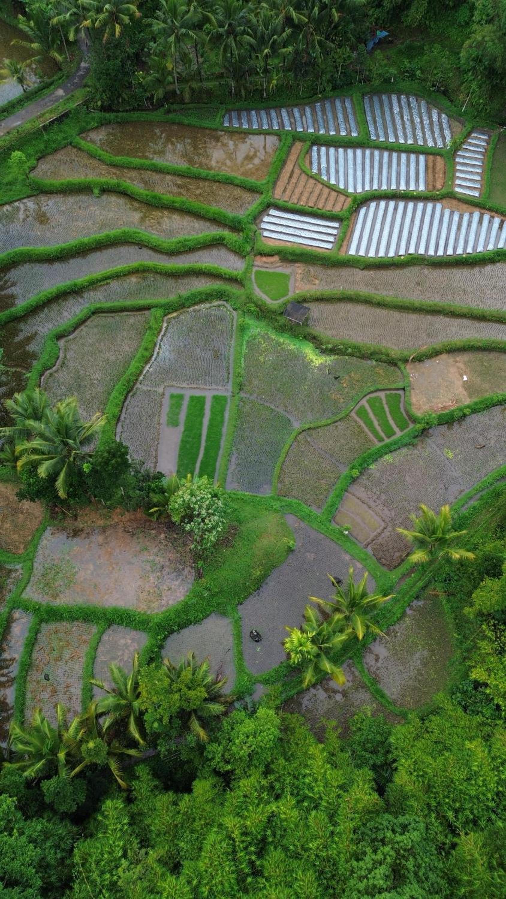 Double Room with Garden View photo 2