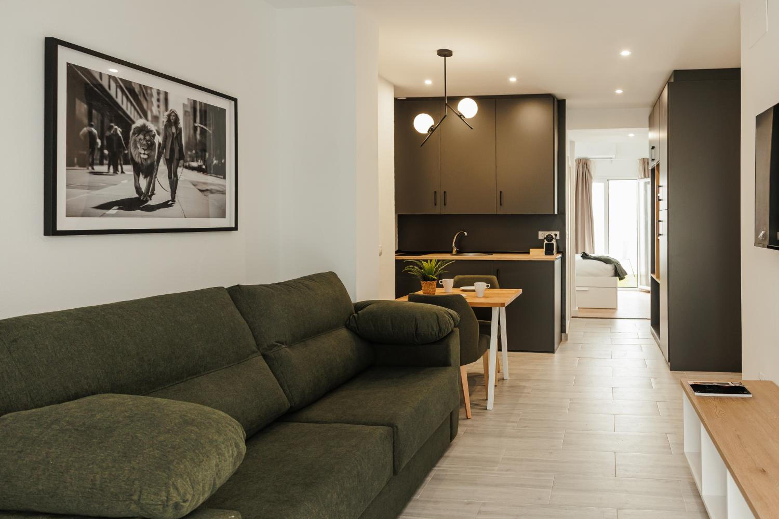 One Bedroom Apartment
