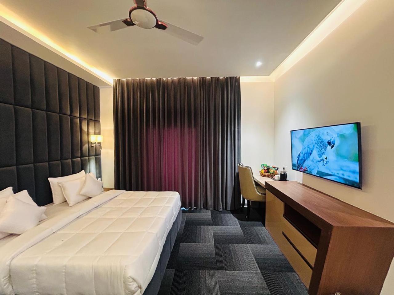 King Room photo 3