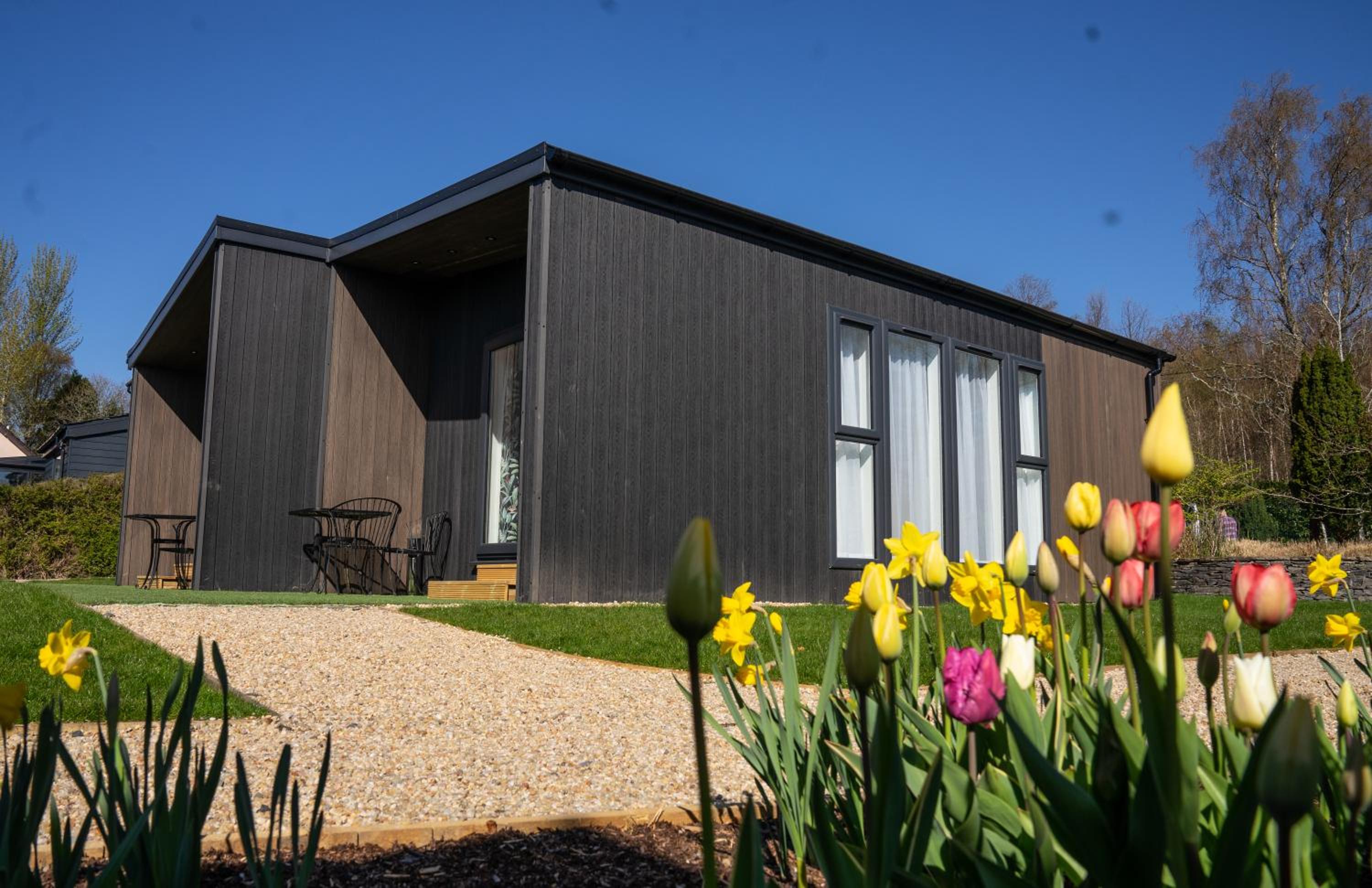 Ash Studio (Pet friendly – No Hot Tub) photo 2