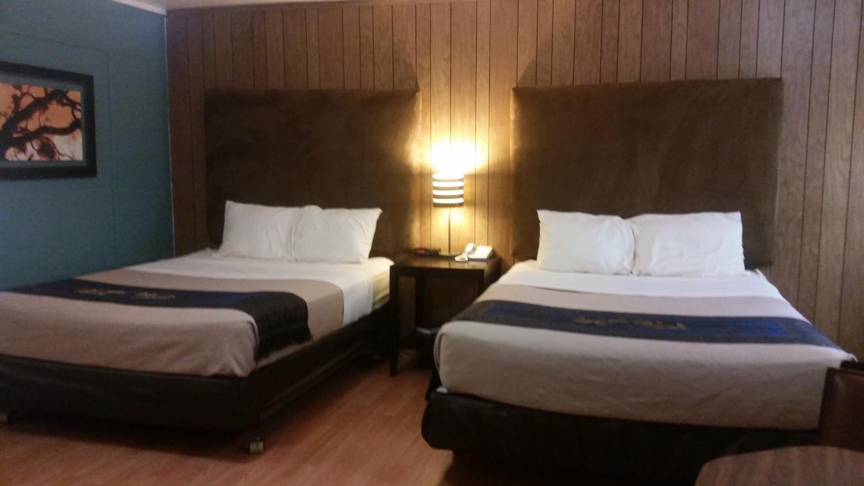 Mini Suite - Photo 3
