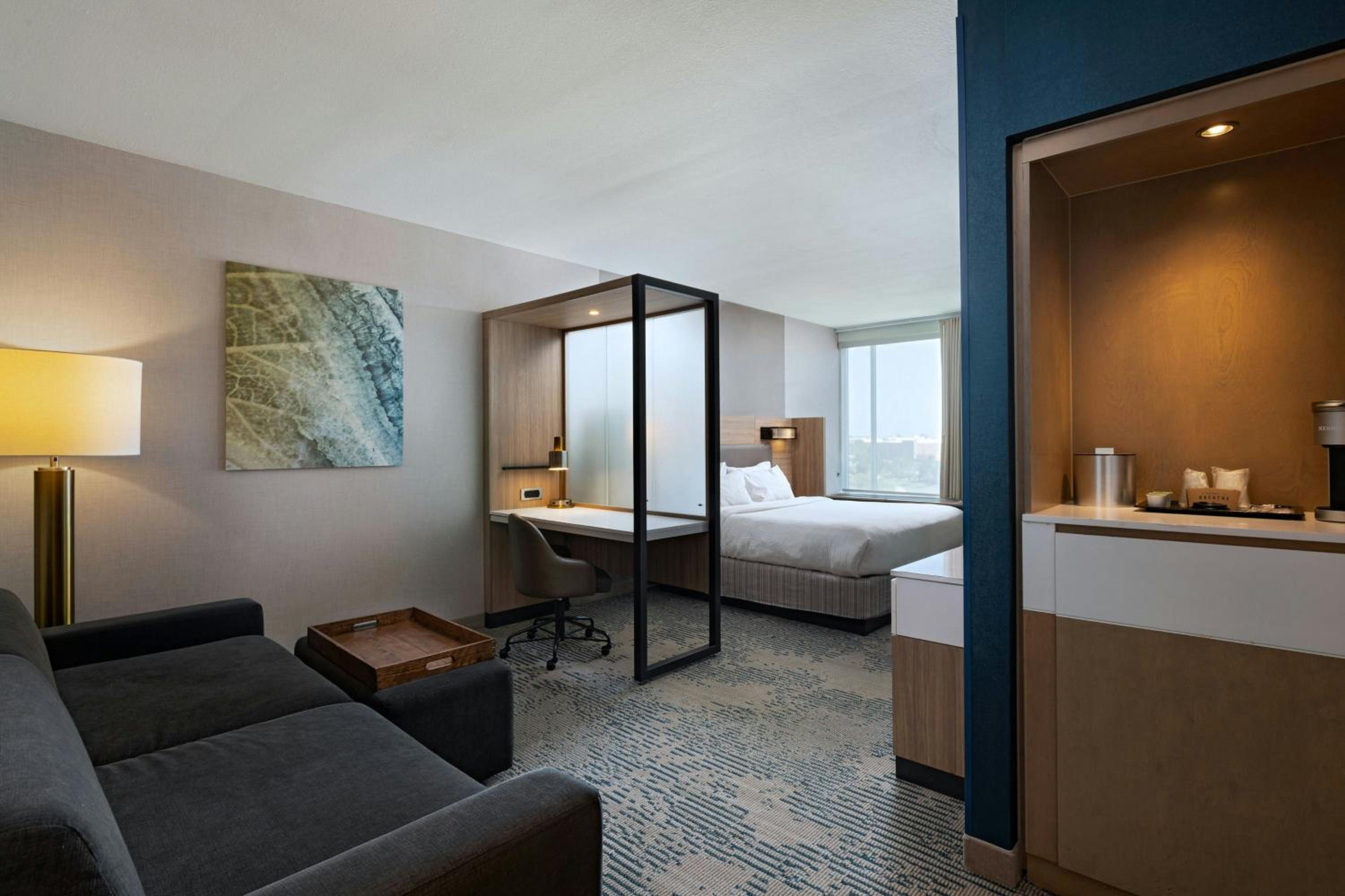 King Suite with Lake View and Trundle Sofa photo 2