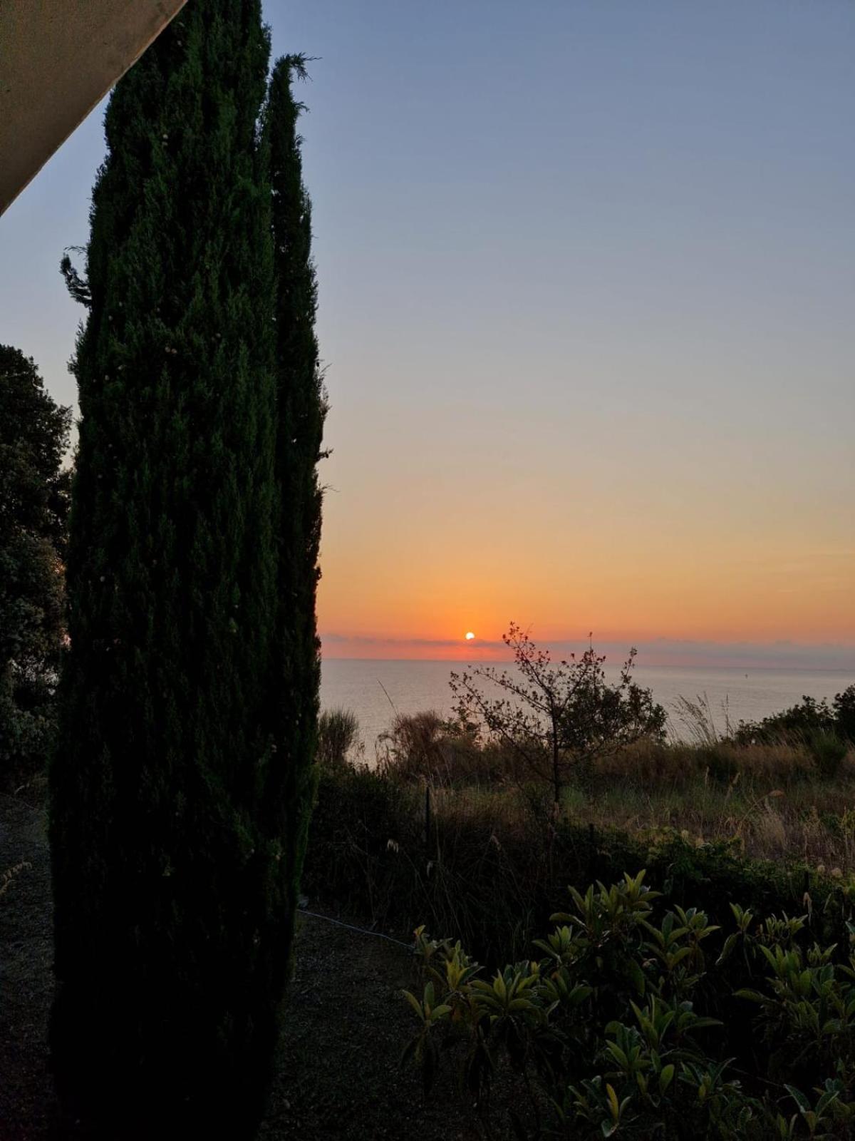 Deluxe Double or Twin Room with Garden View photo 3
