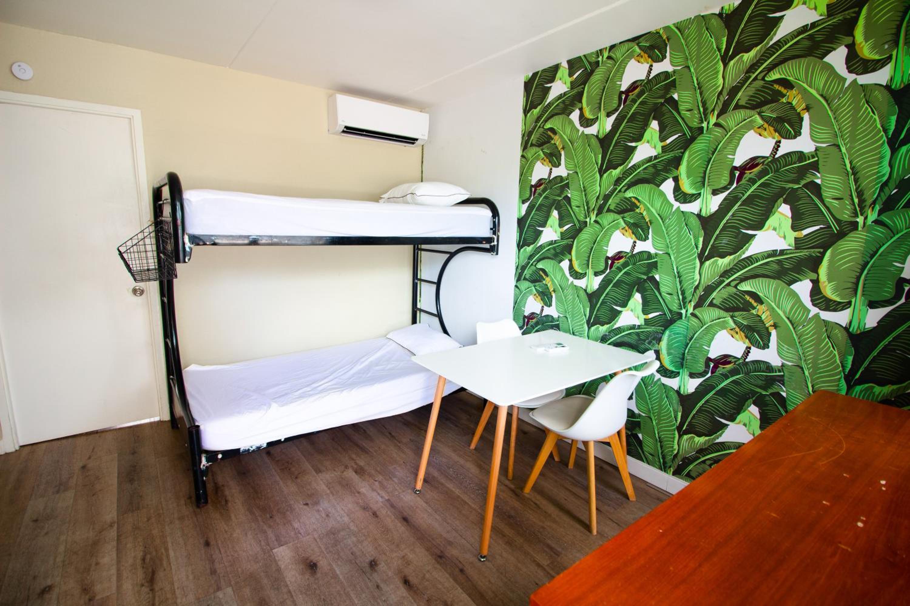 Bunk Bed in Mixed Dormitory Room photo 2
