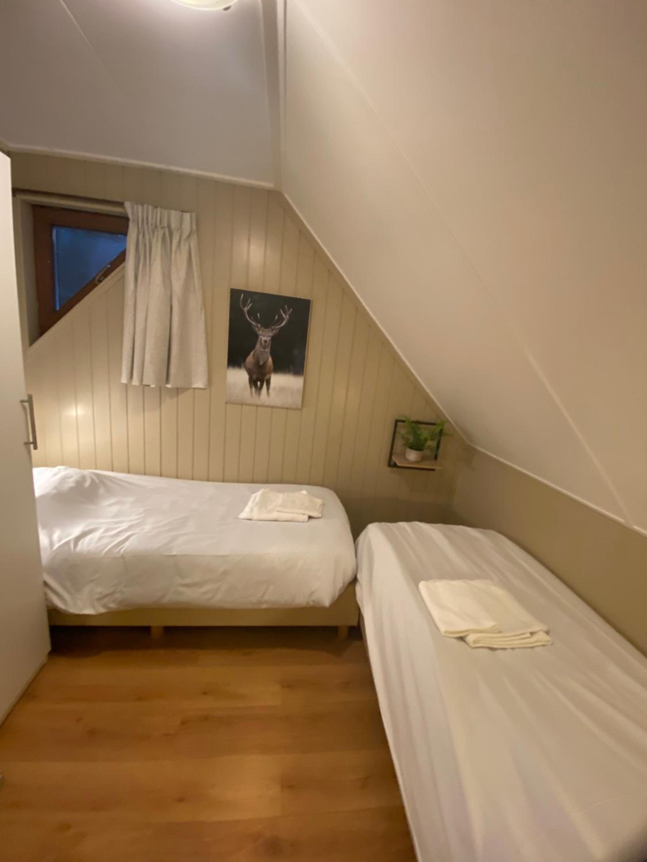 Three-Bedroom House photo 2