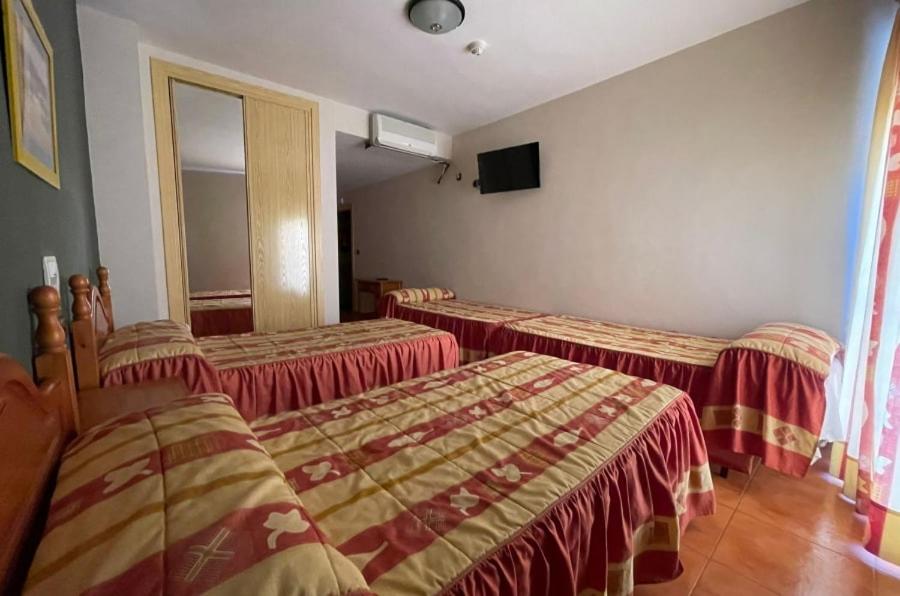 Standard Quadruple Room - Photo 2