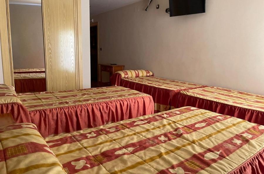 Standard Quadruple Room - Photo 3