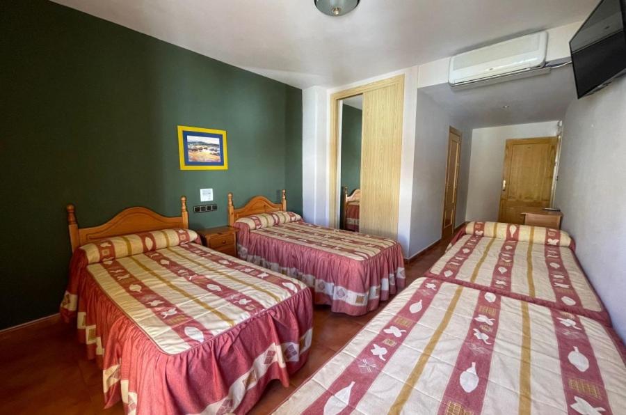 Standard Quadruple Room - Photo 4