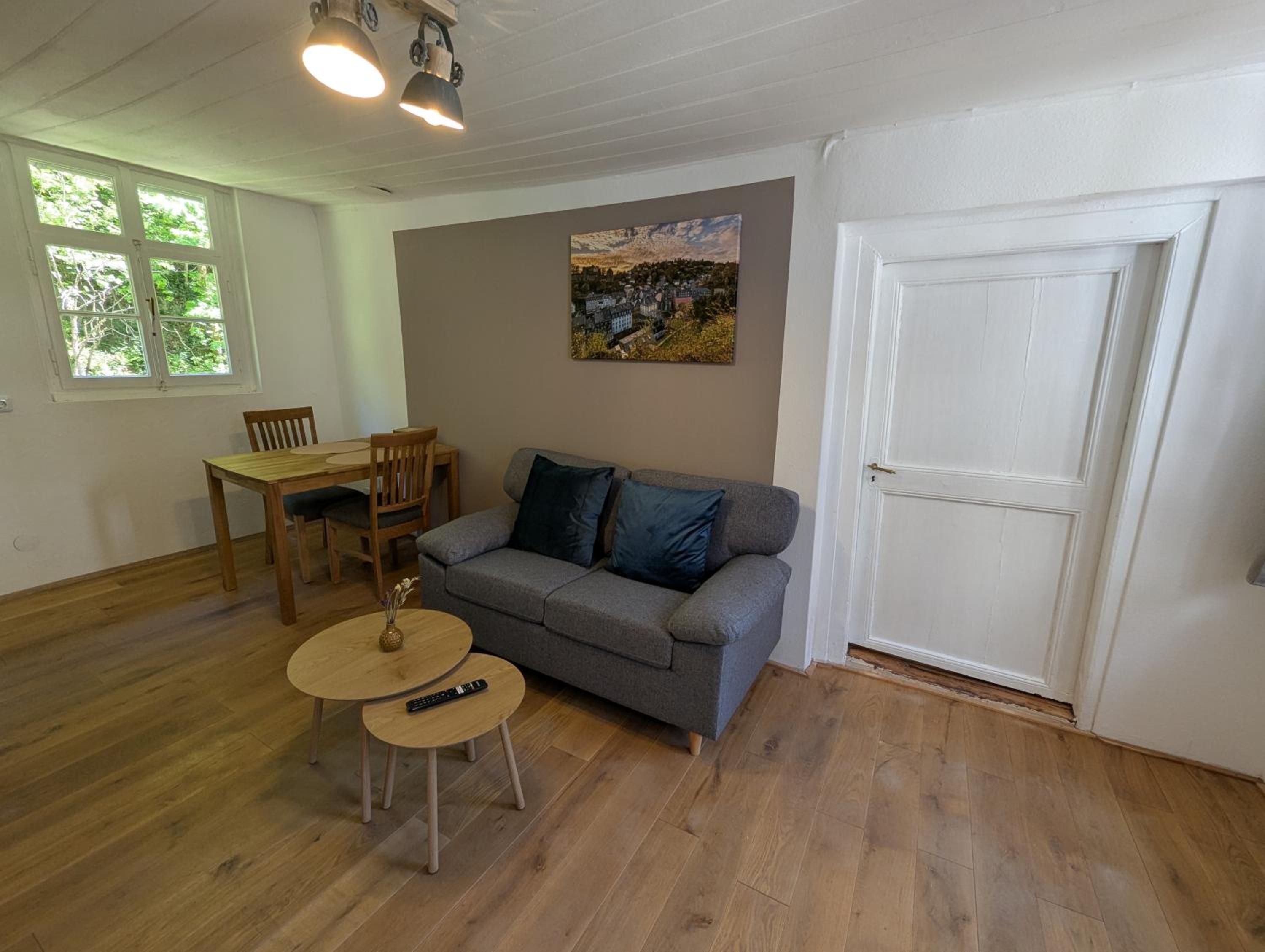 One-Bedroom Apartment with River View photo 3