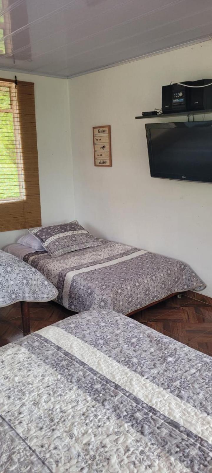 Triple Room photo 1