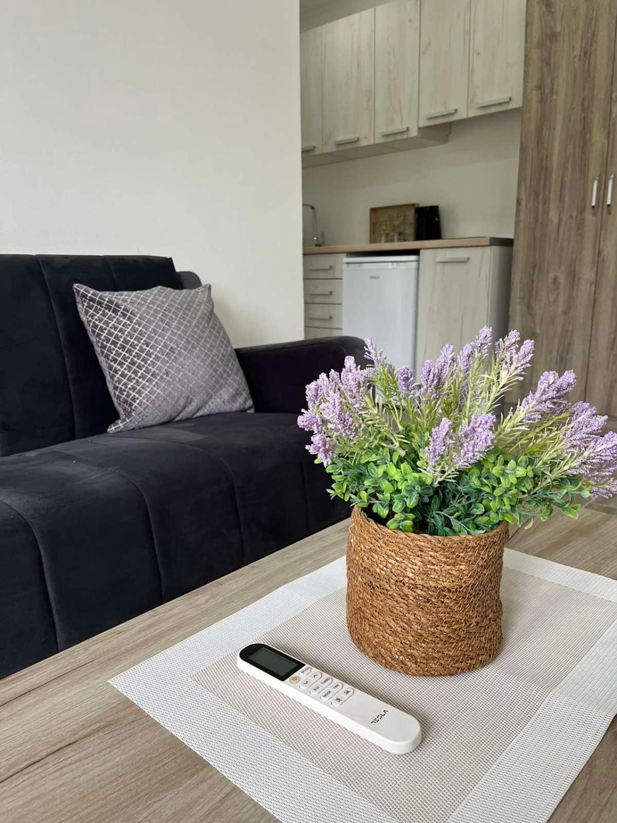One-Bedroom Apartment with Terrace