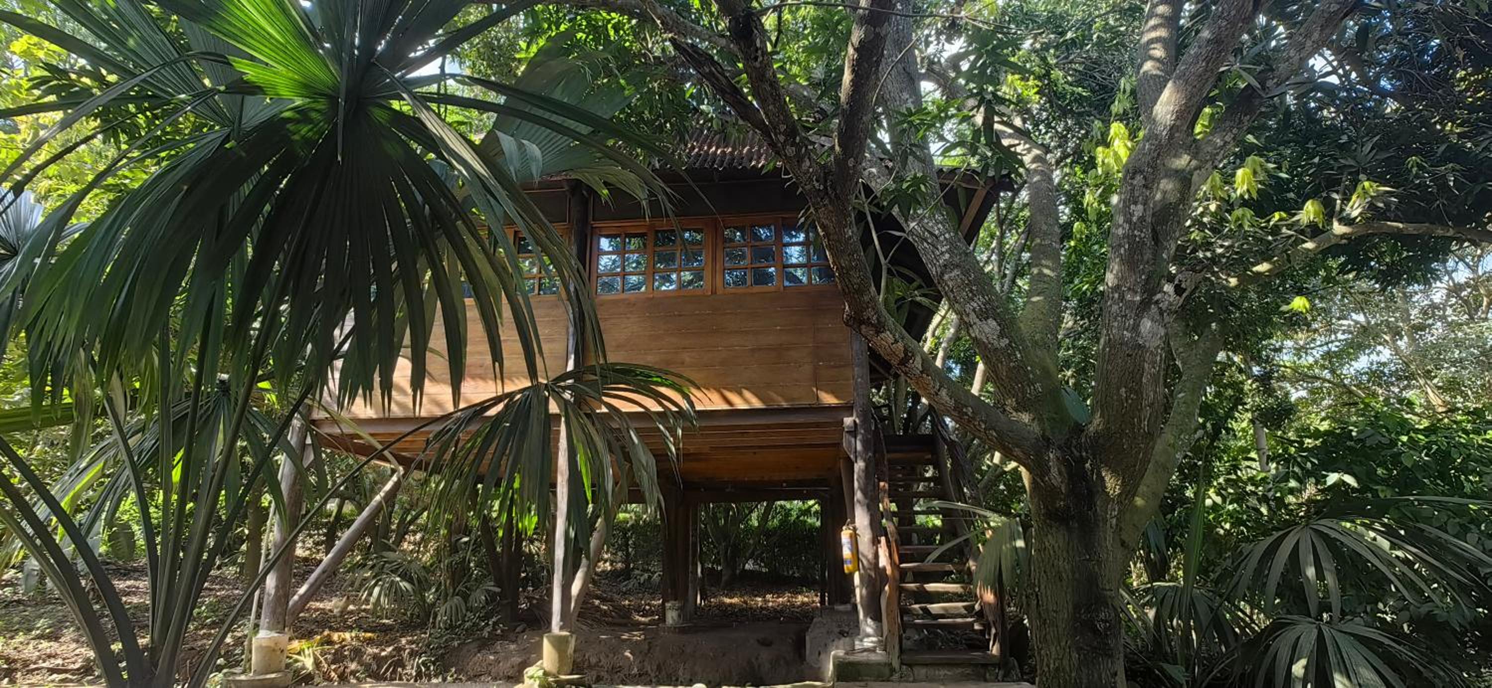 Bungalow photo 1