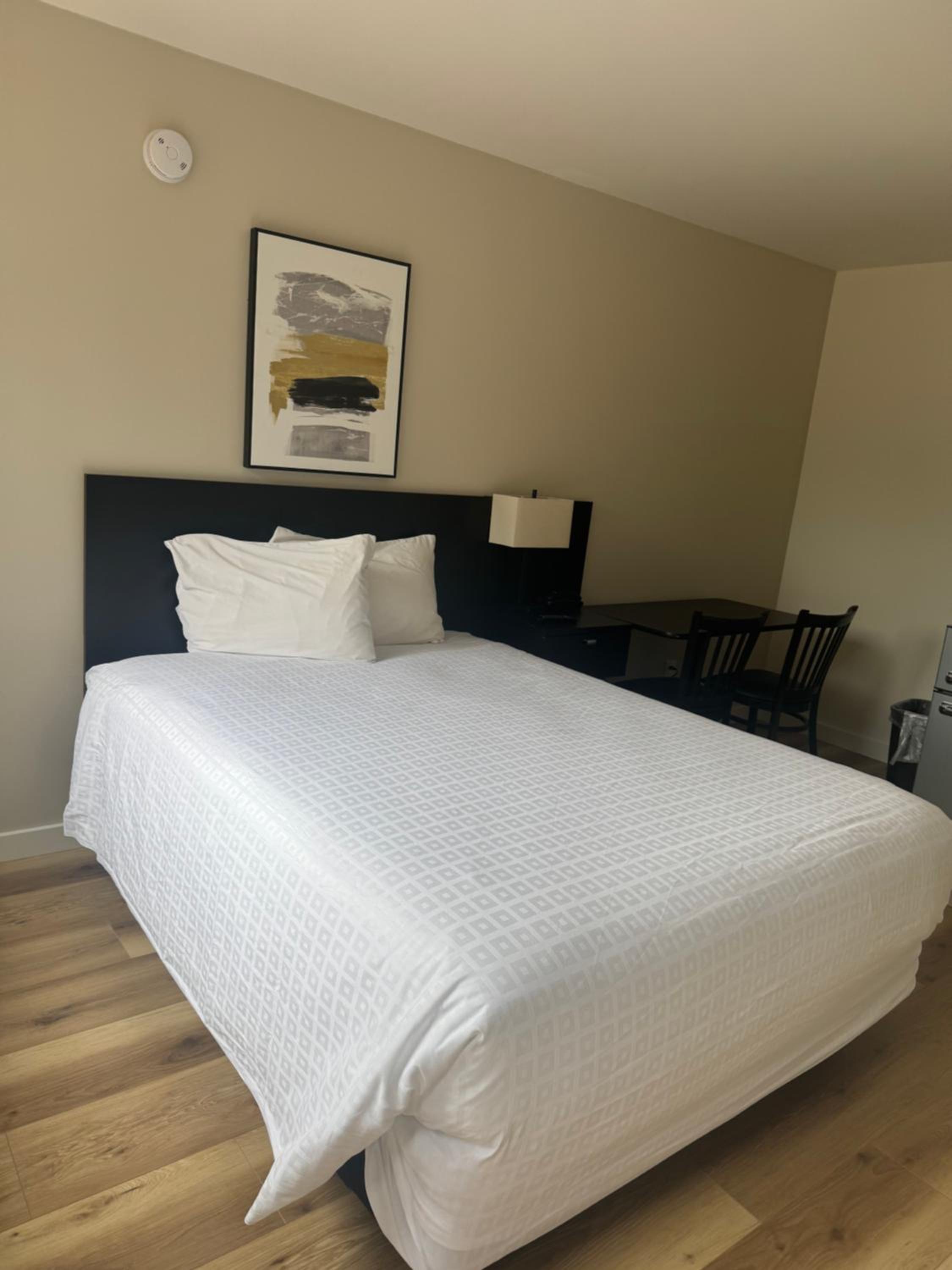 Single Room - Disability Access photo 3